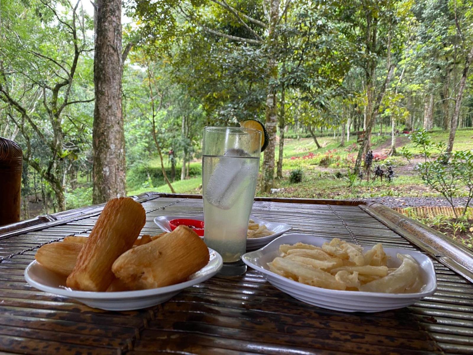 Joben Ecolodge