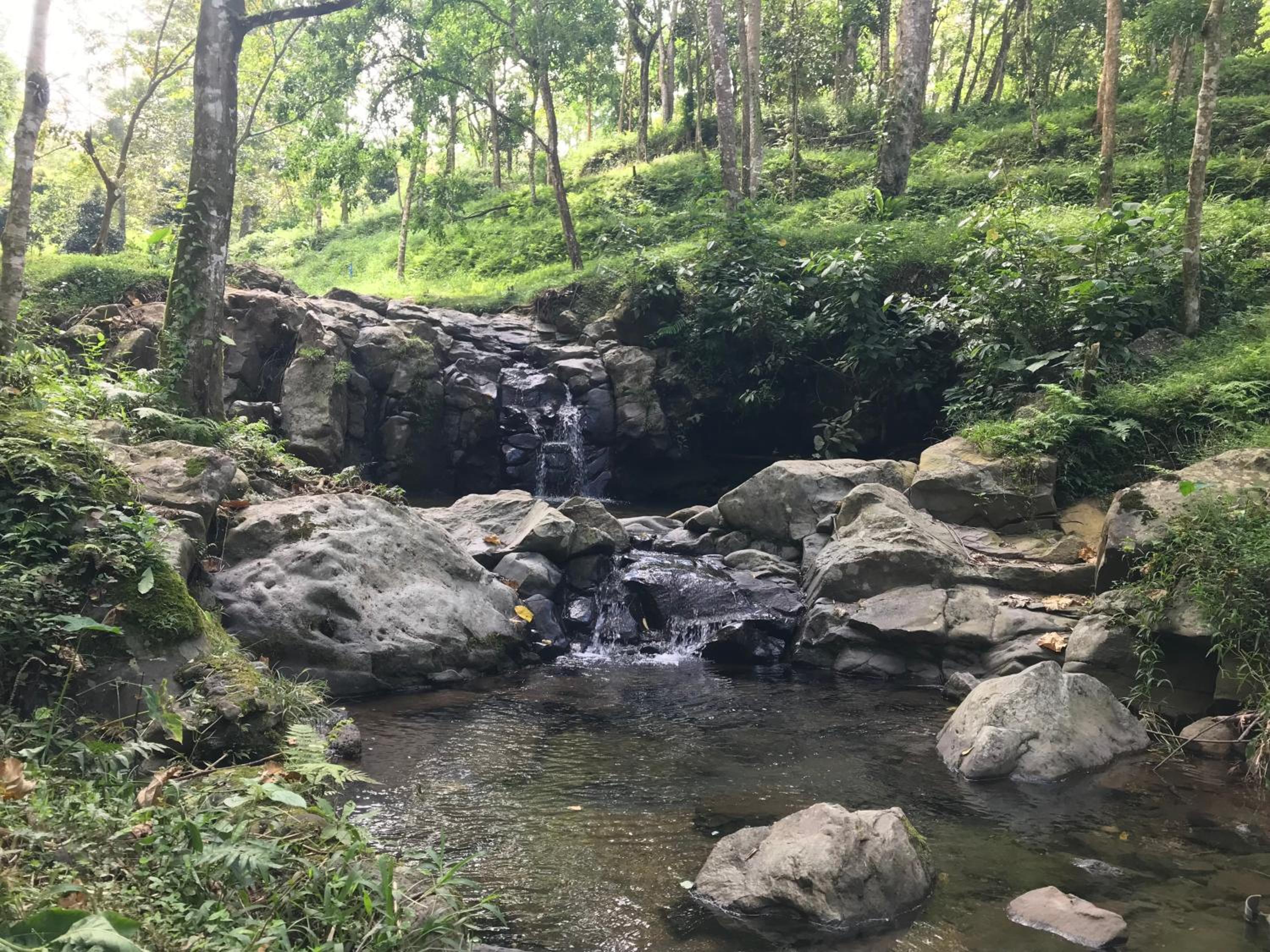 Joben Ecolodge