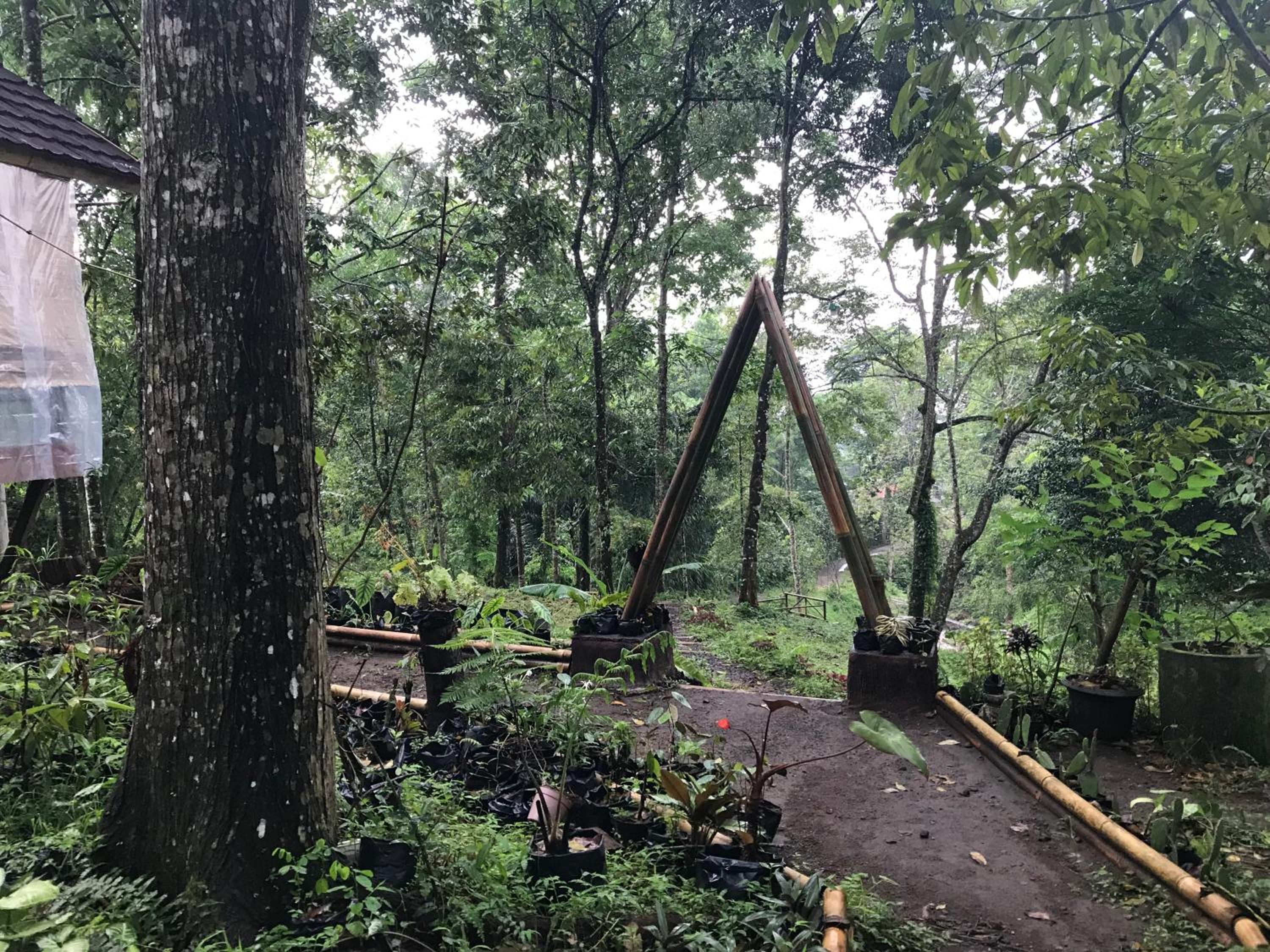 Joben Ecolodge