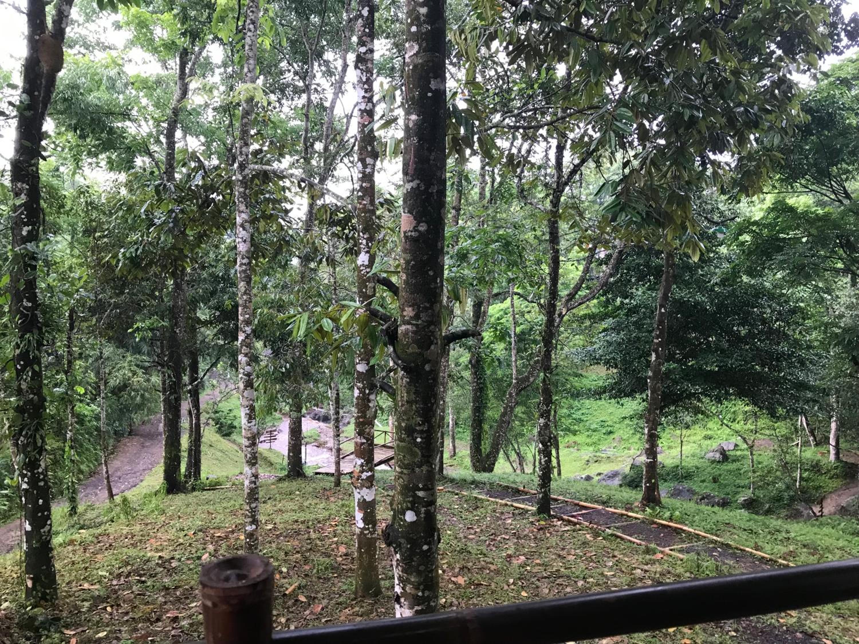 Joben Ecolodge