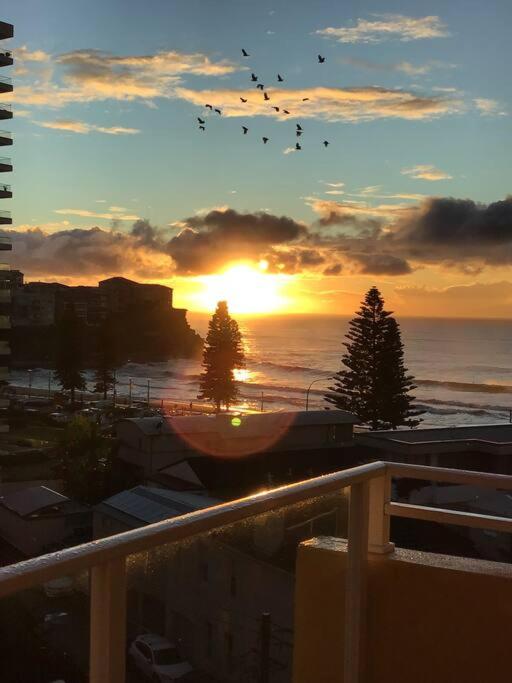 SeaDreams Beachfront Manly - Image 2