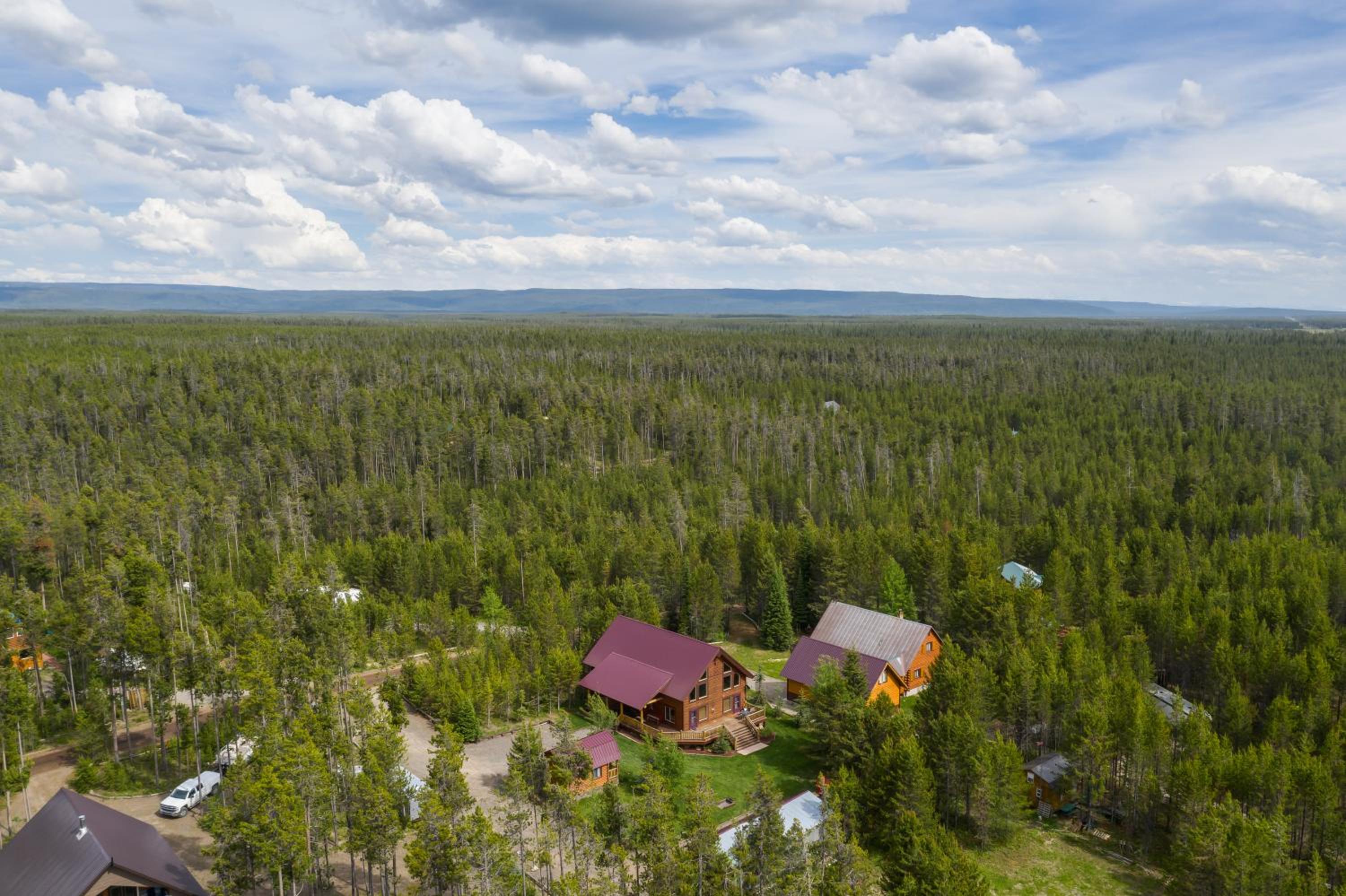 Photo 45