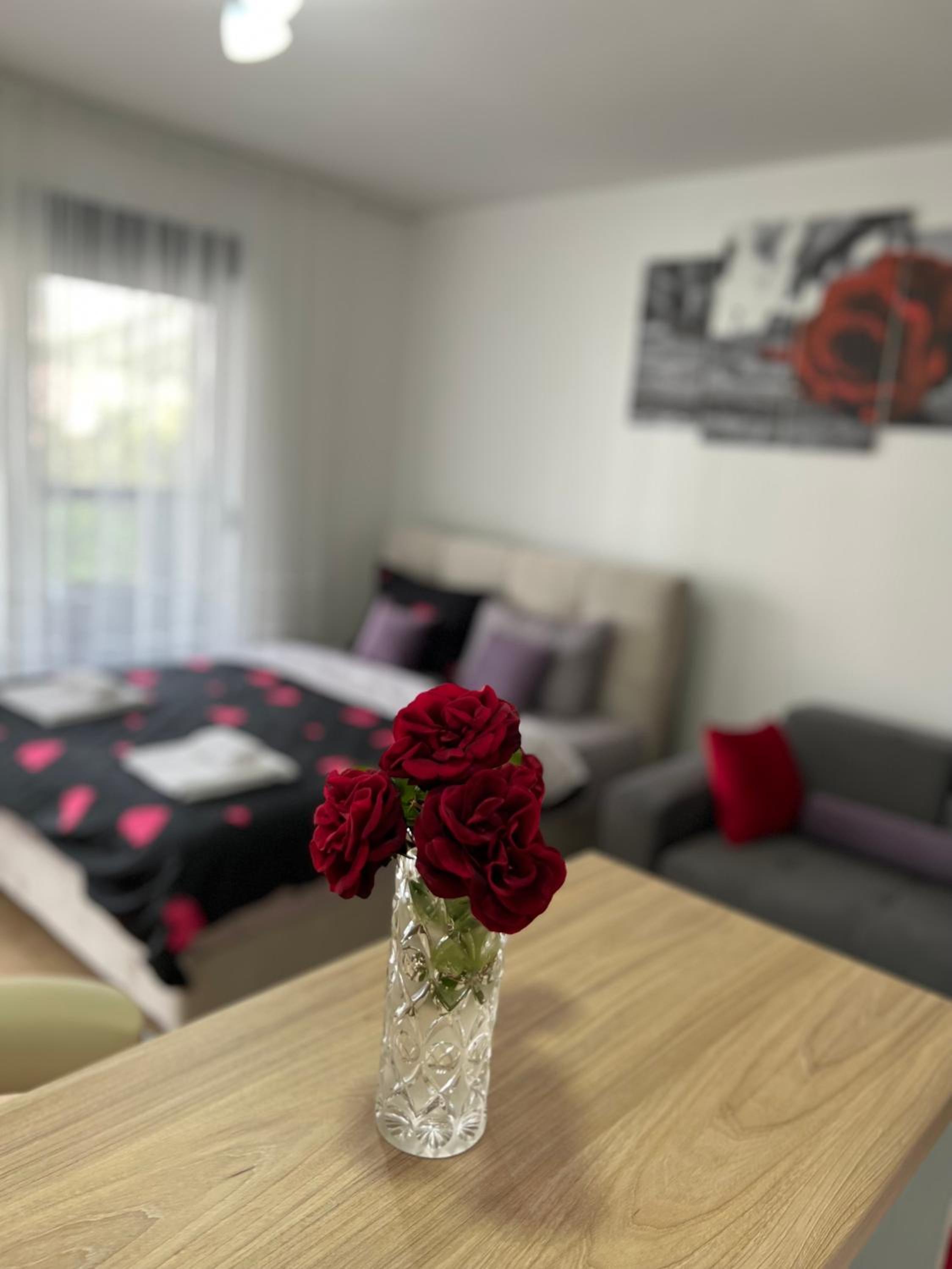 Lux apartment Nina