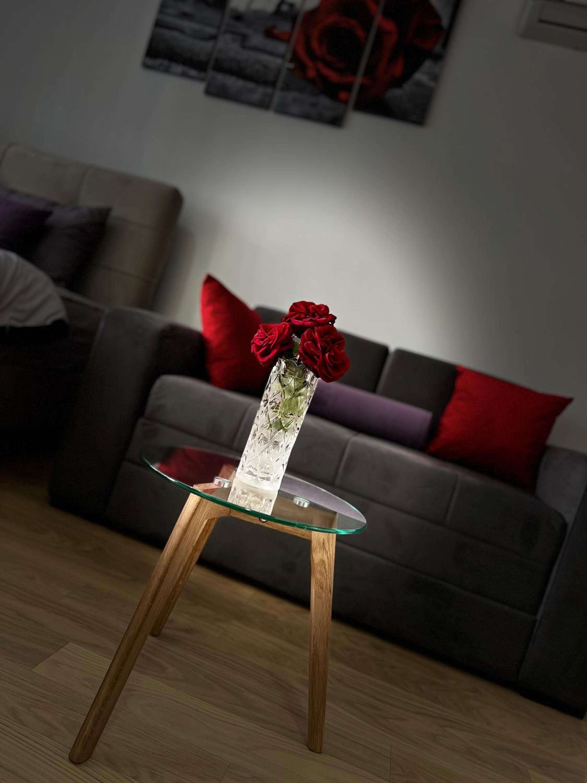 Lux apartment Nina