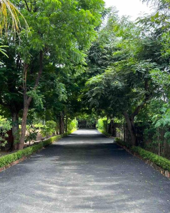 Serene stay in the lap of Nature, photo 17
