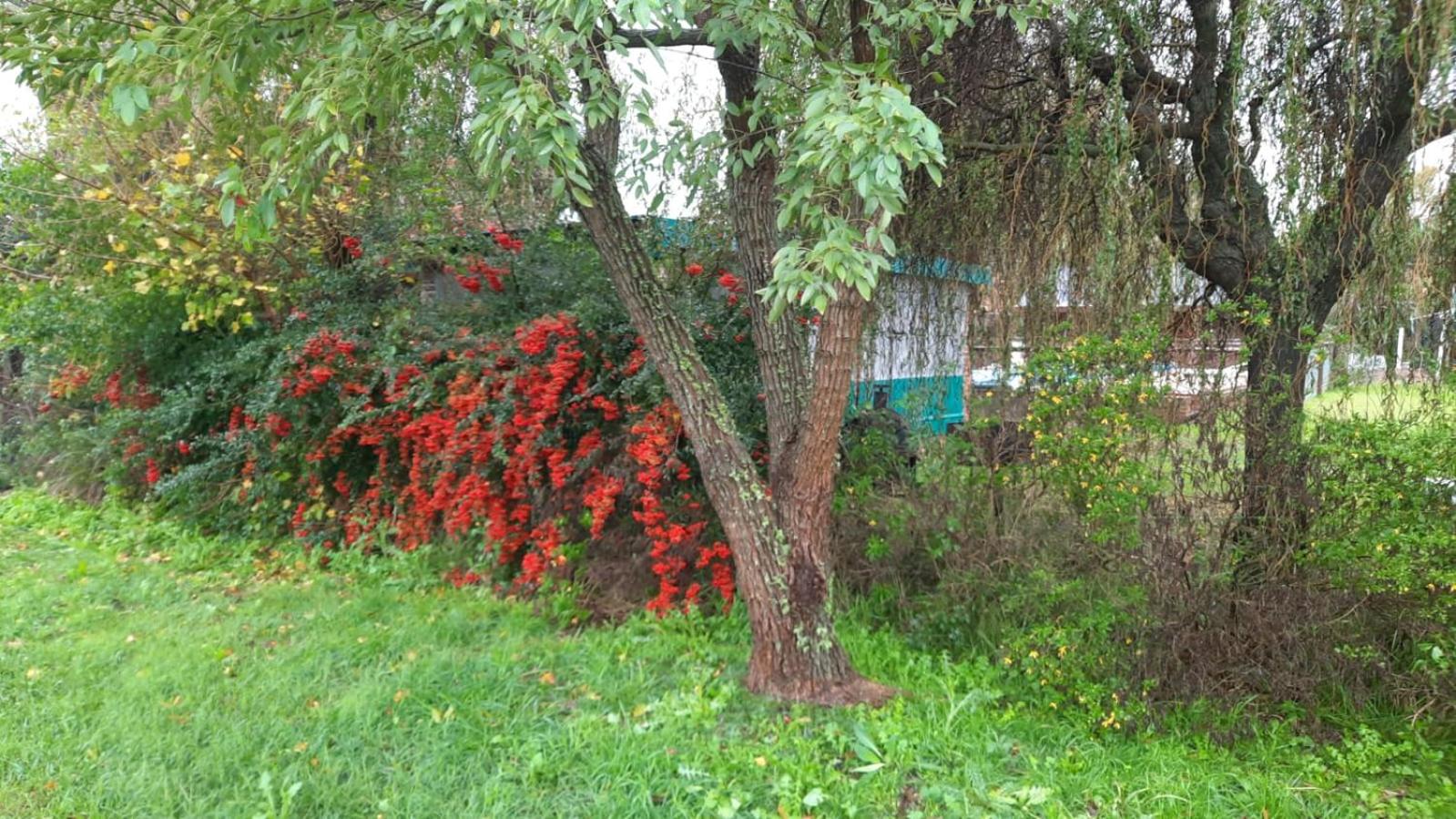 Cabañas Tranquera 8