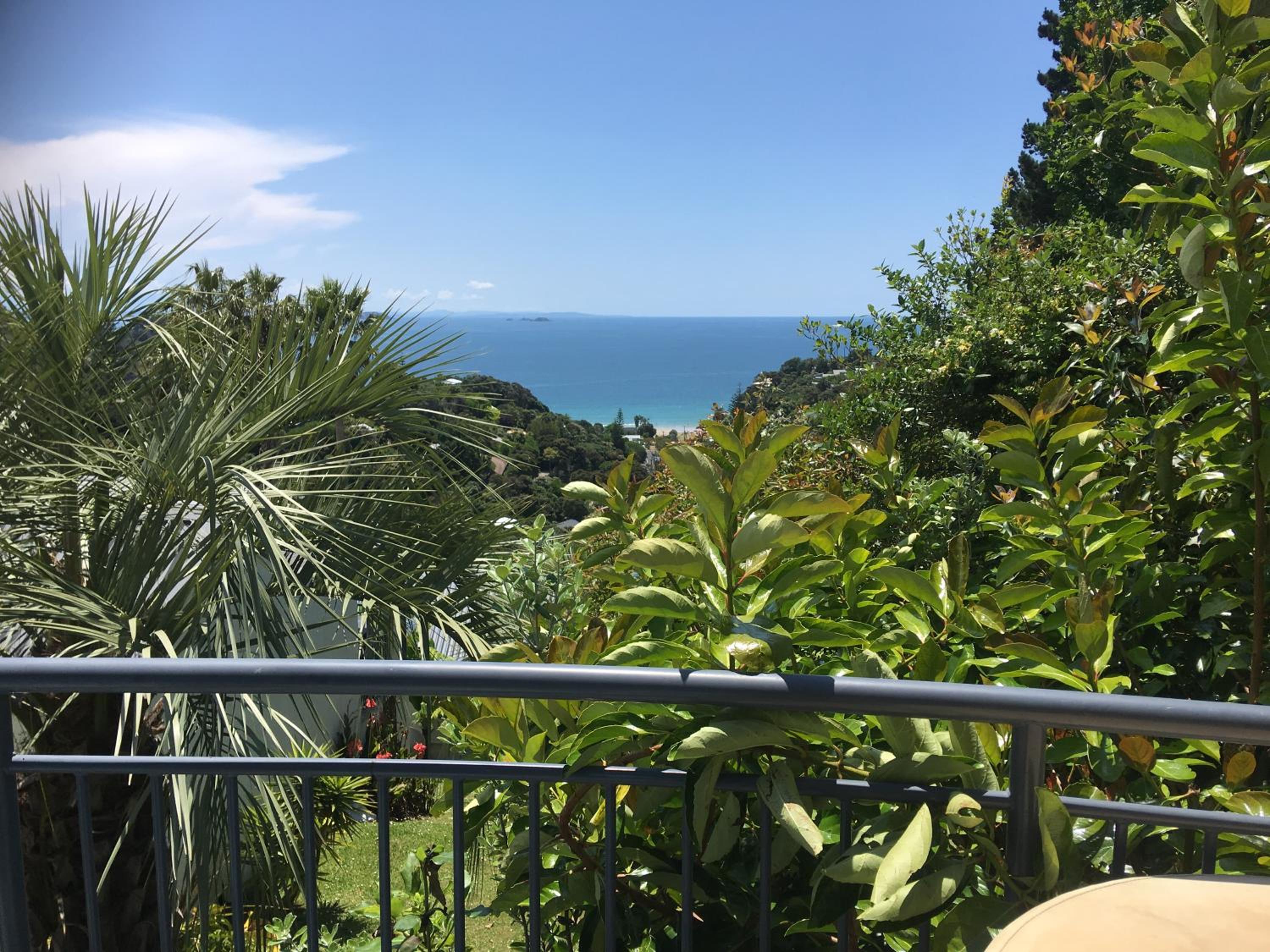 Palm Beach Perfection SPA Pool Free WIFI view 5