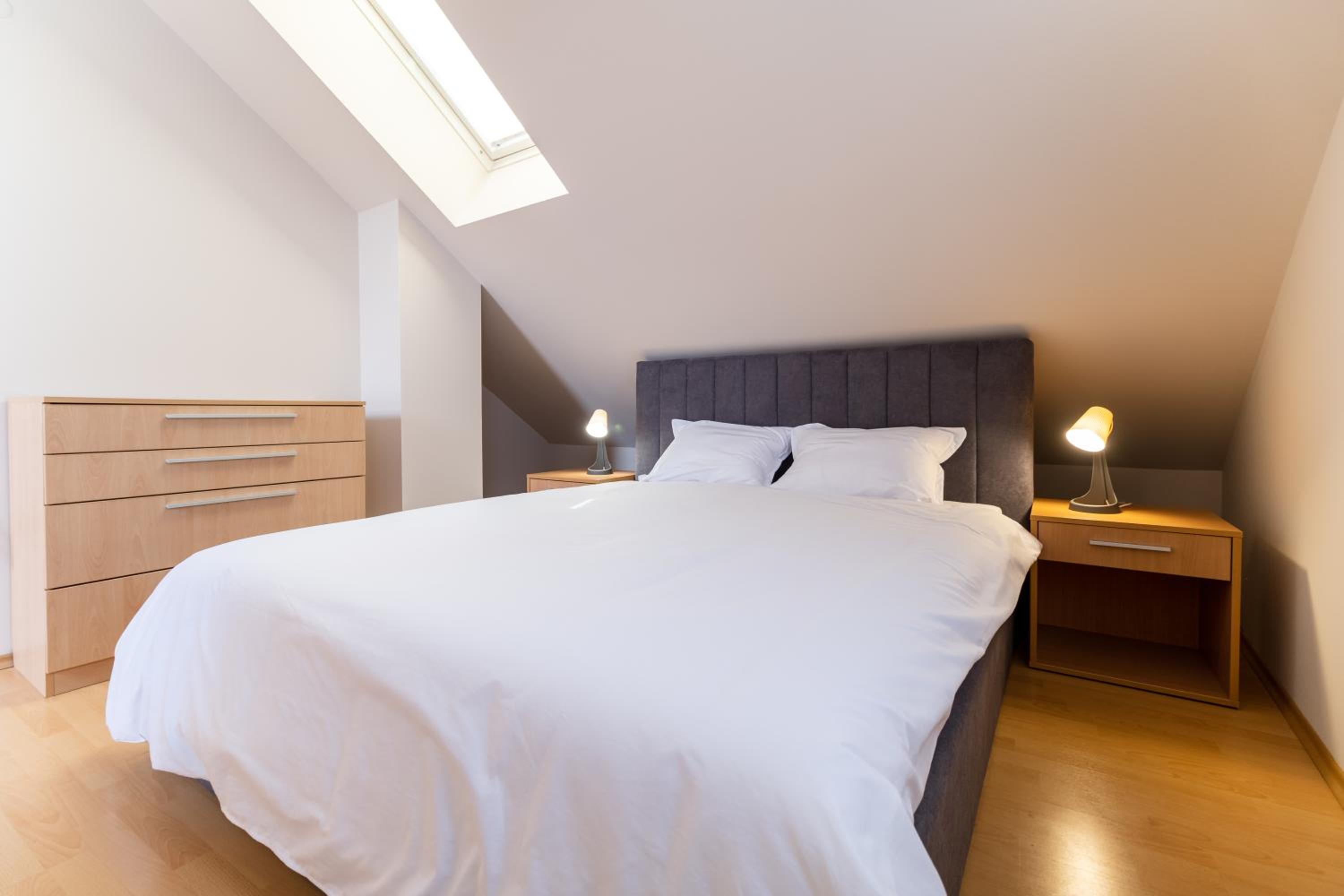 Spacious apartment in the city center