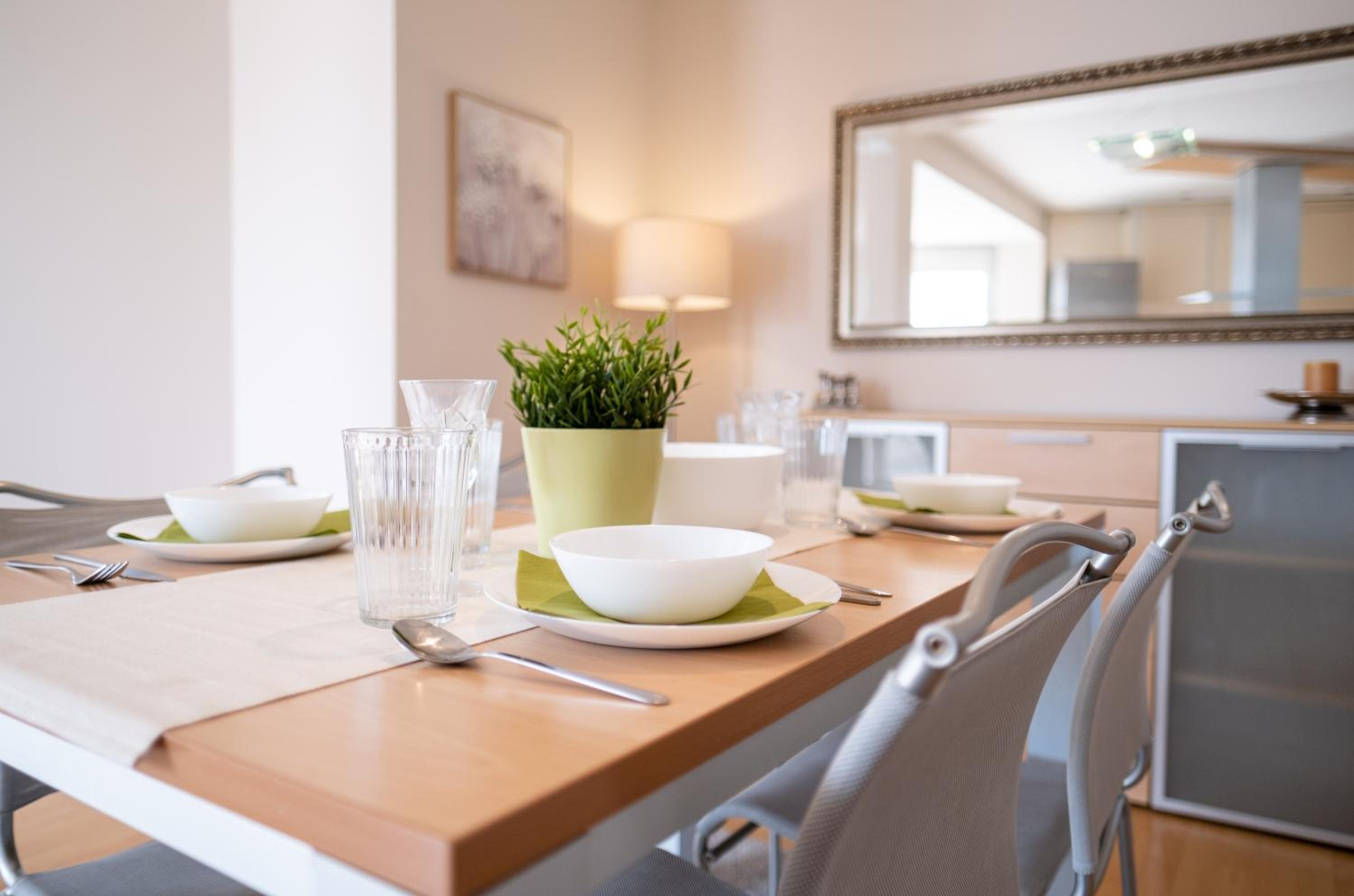 Spacious apartment in the city center