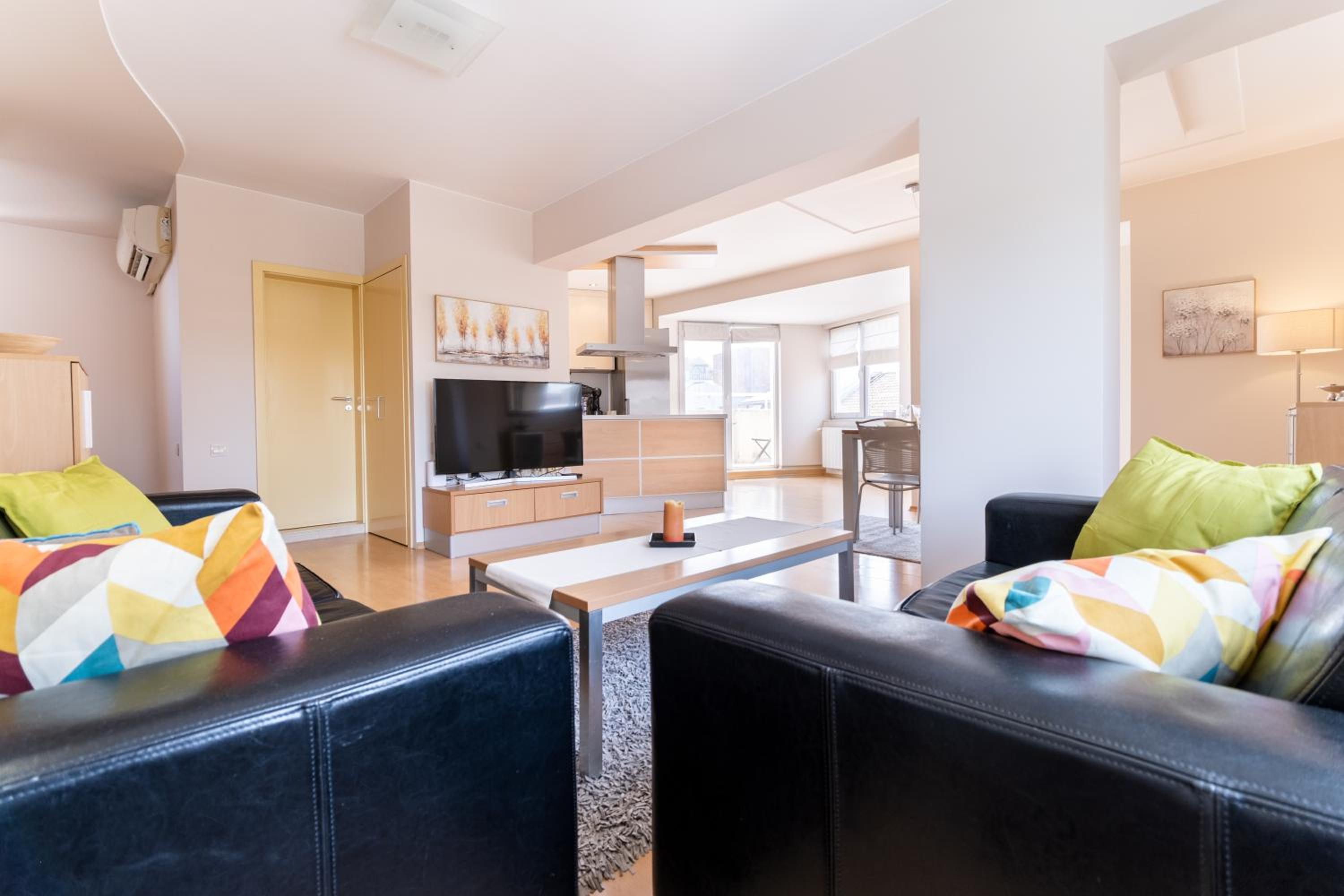 Spacious apartment in the city center