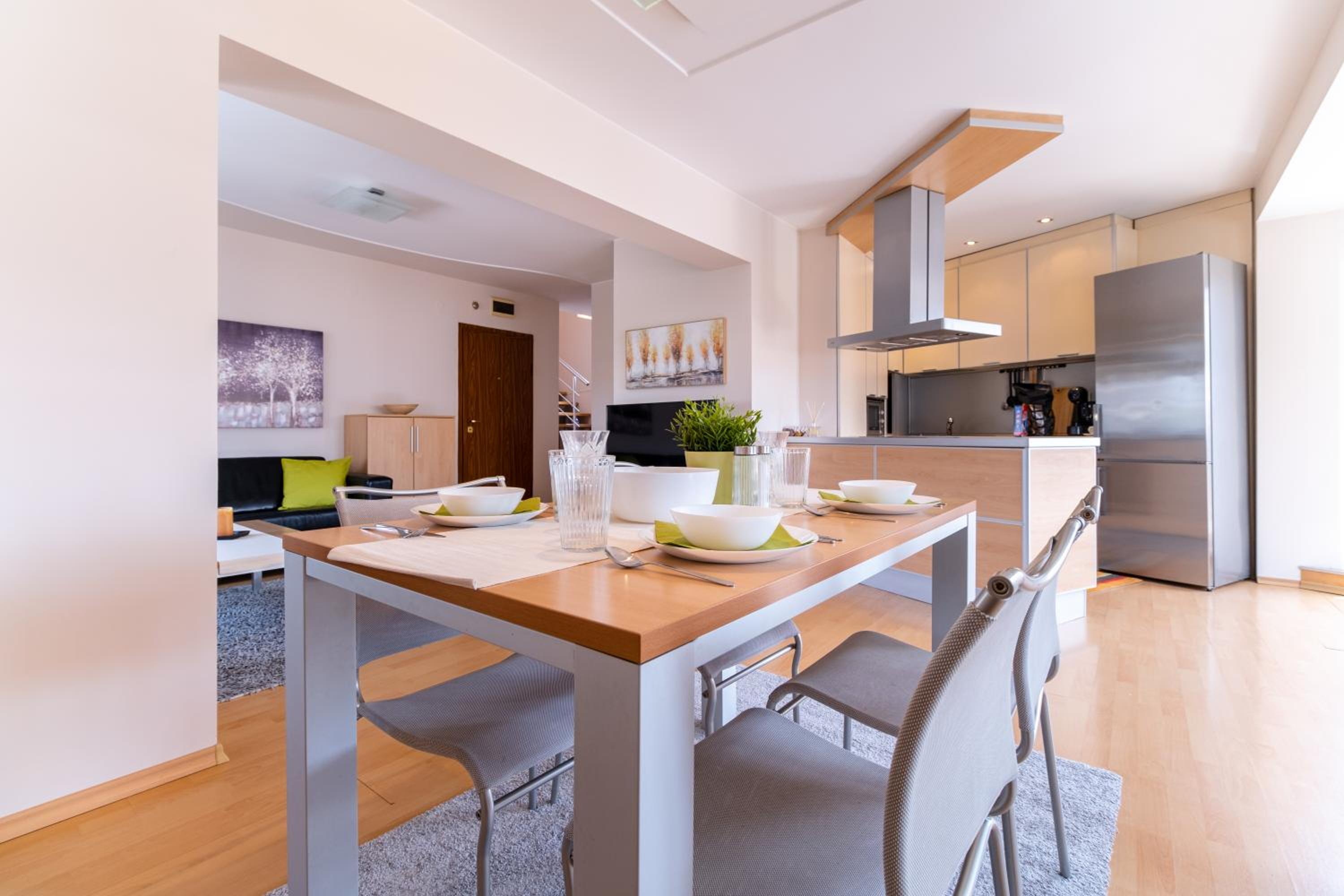 Spacious apartment in the city center