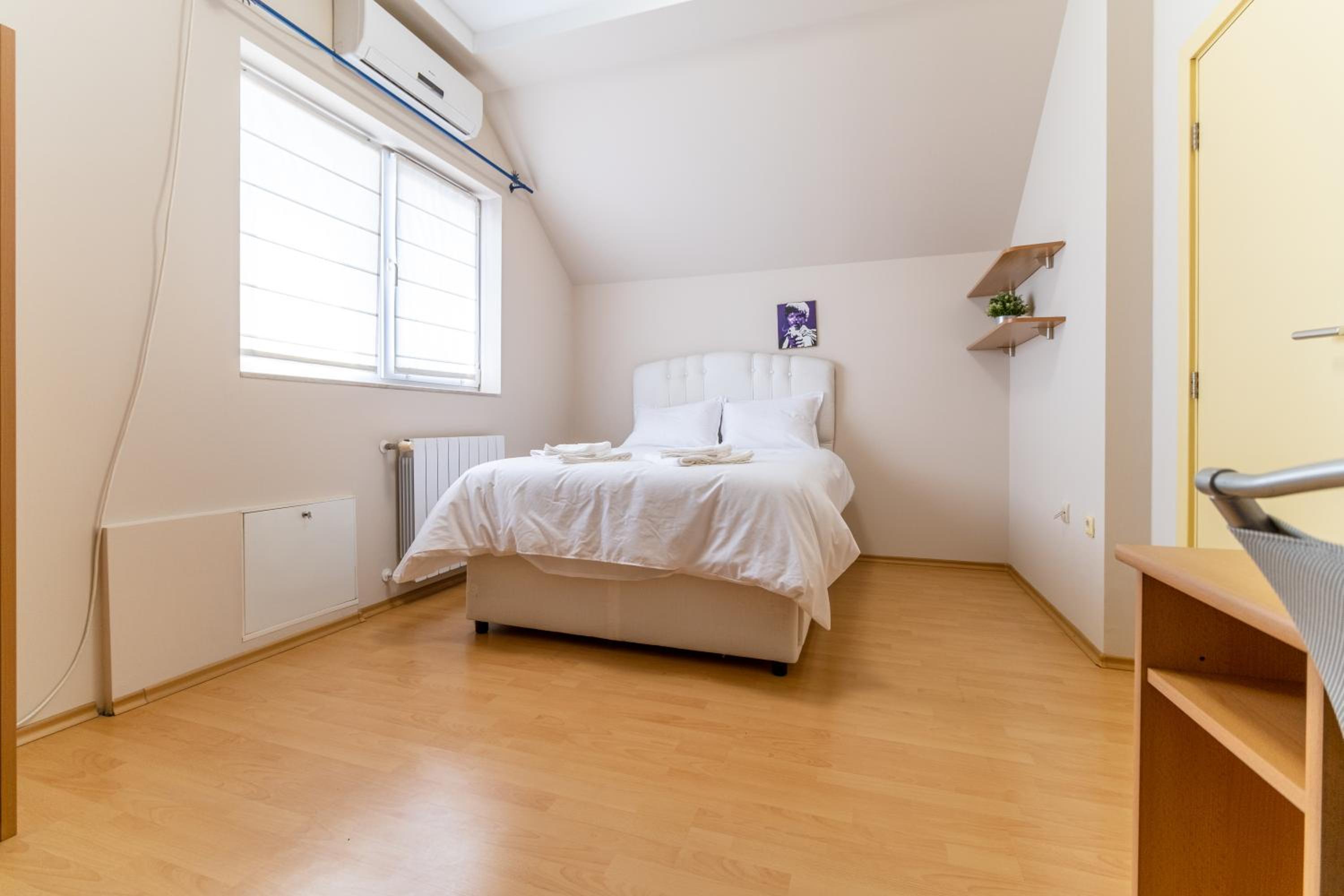 Spacious apartment in the city center