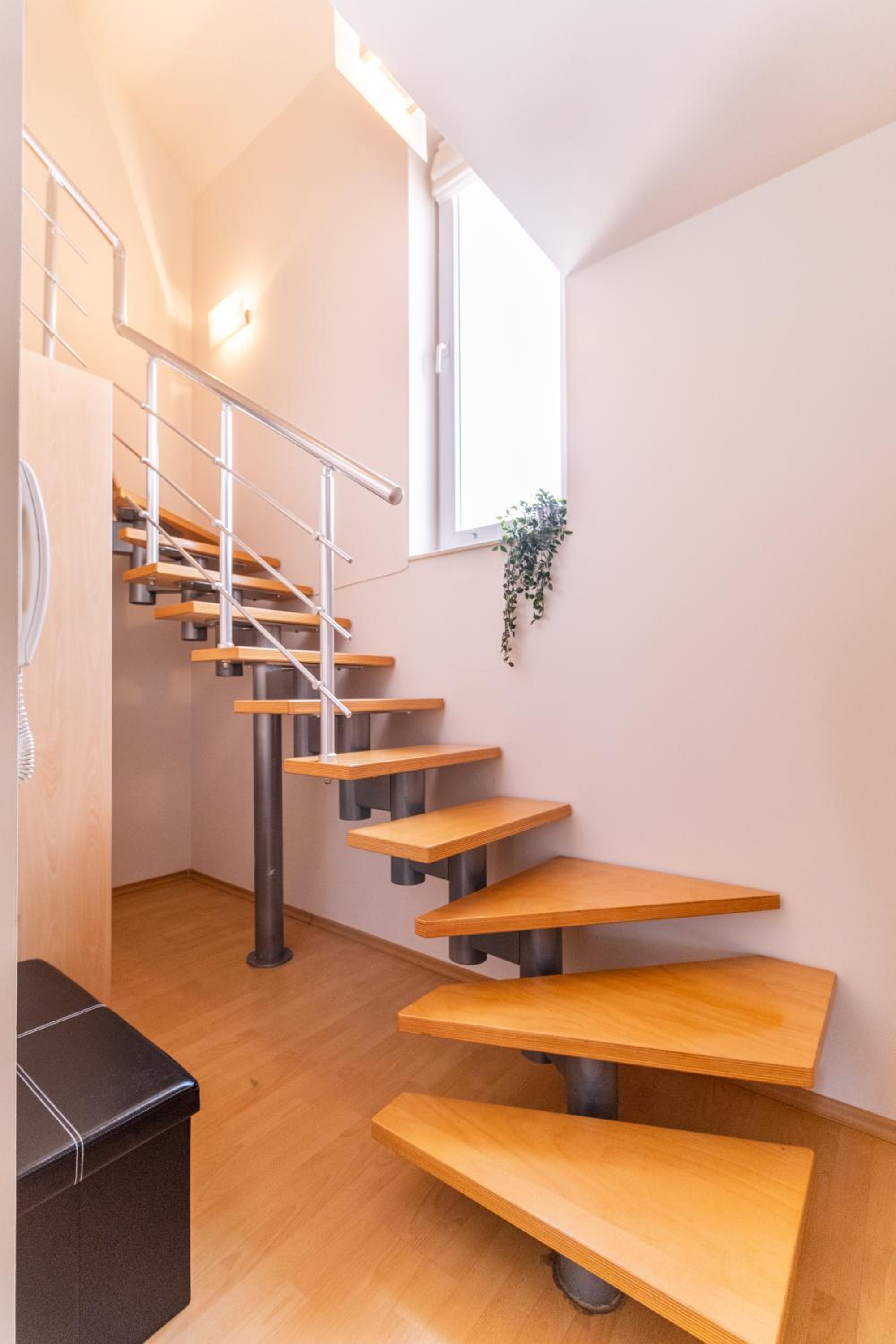 Spacious apartment in the city center