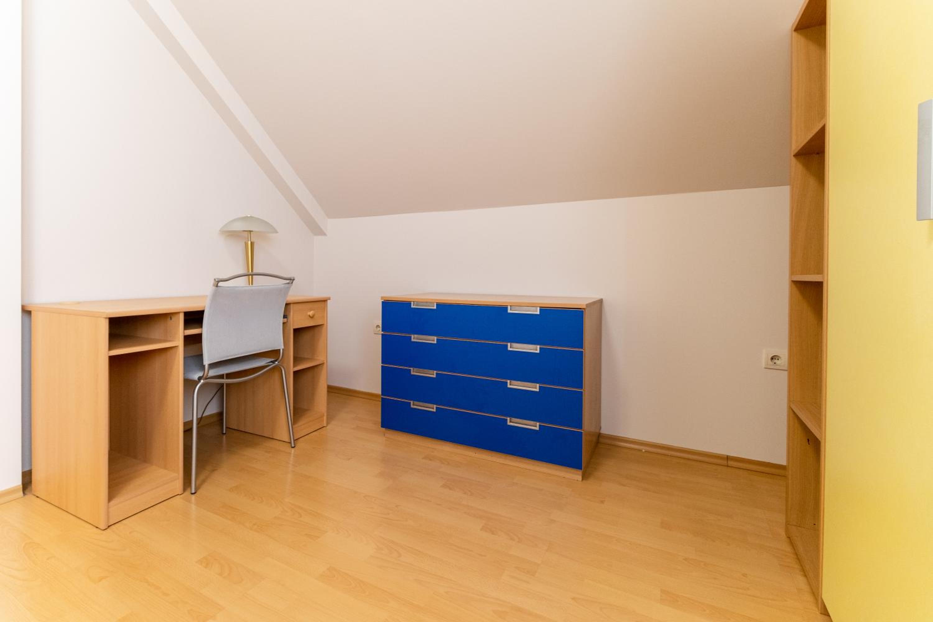 Spacious apartment in the city center