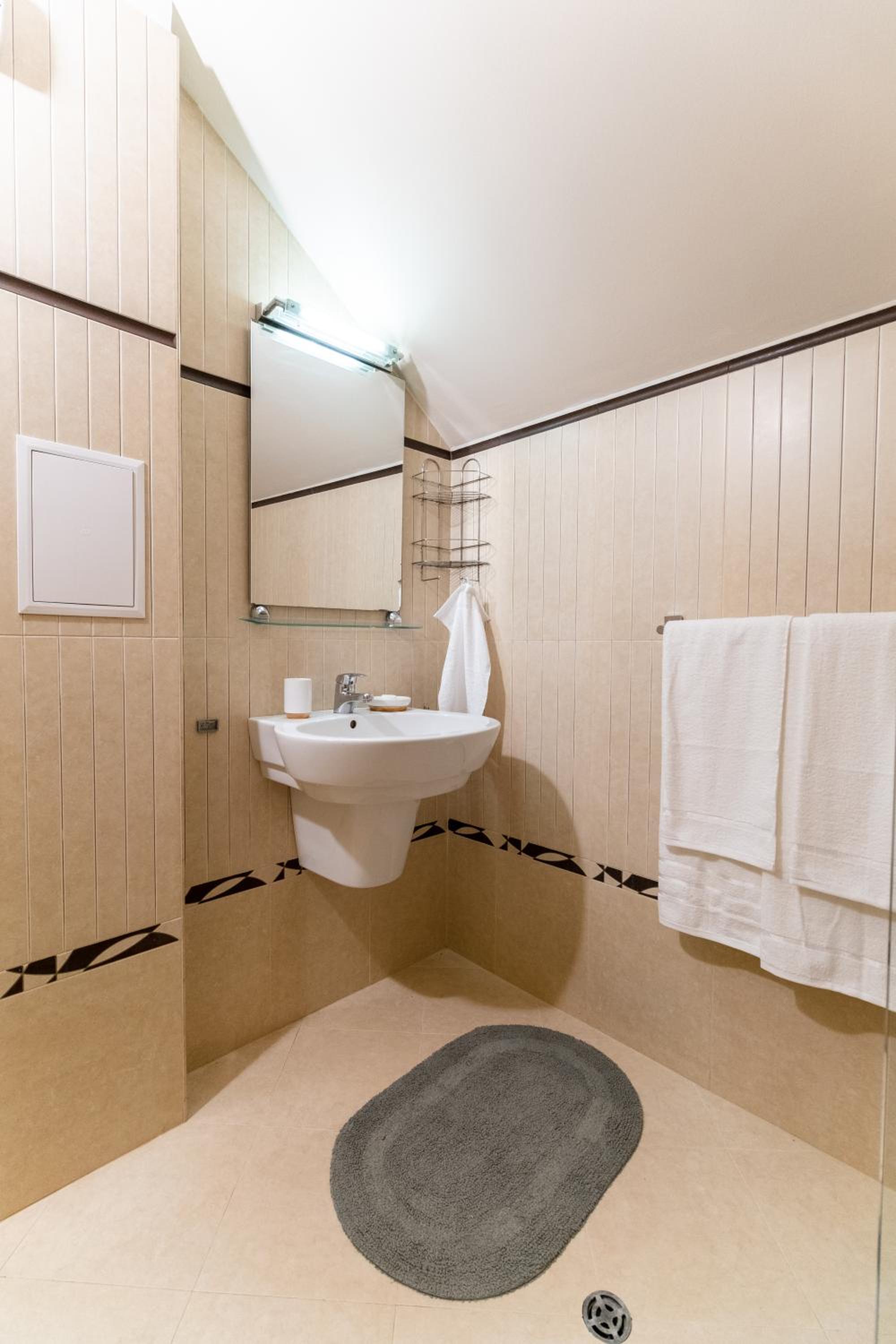 Spacious apartment in the city center