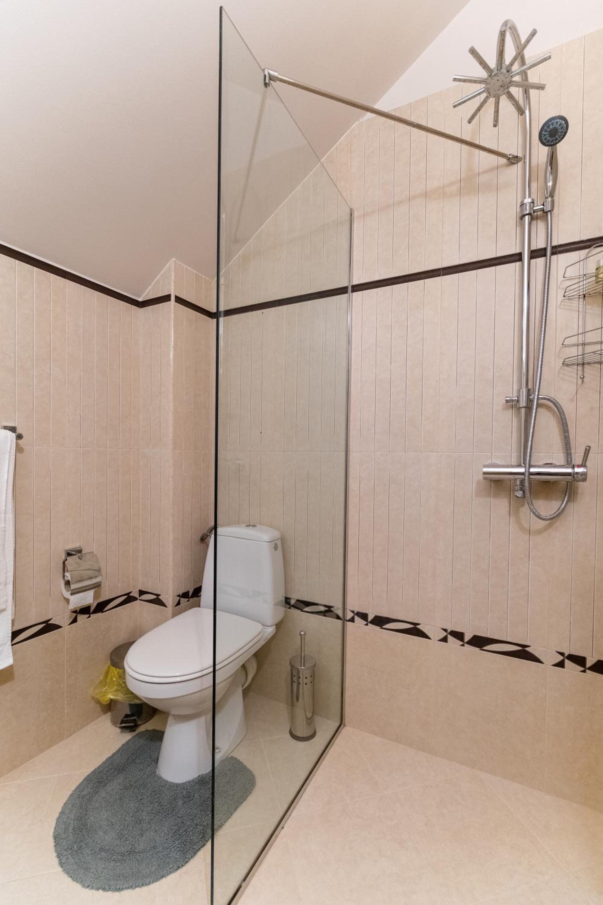 Spacious apartment in the city center