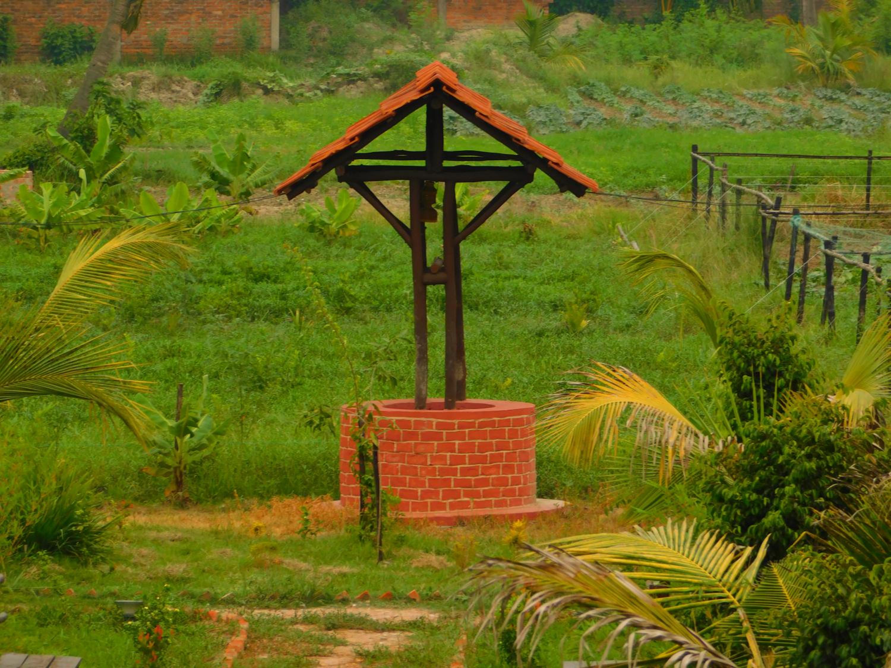 Photo 41