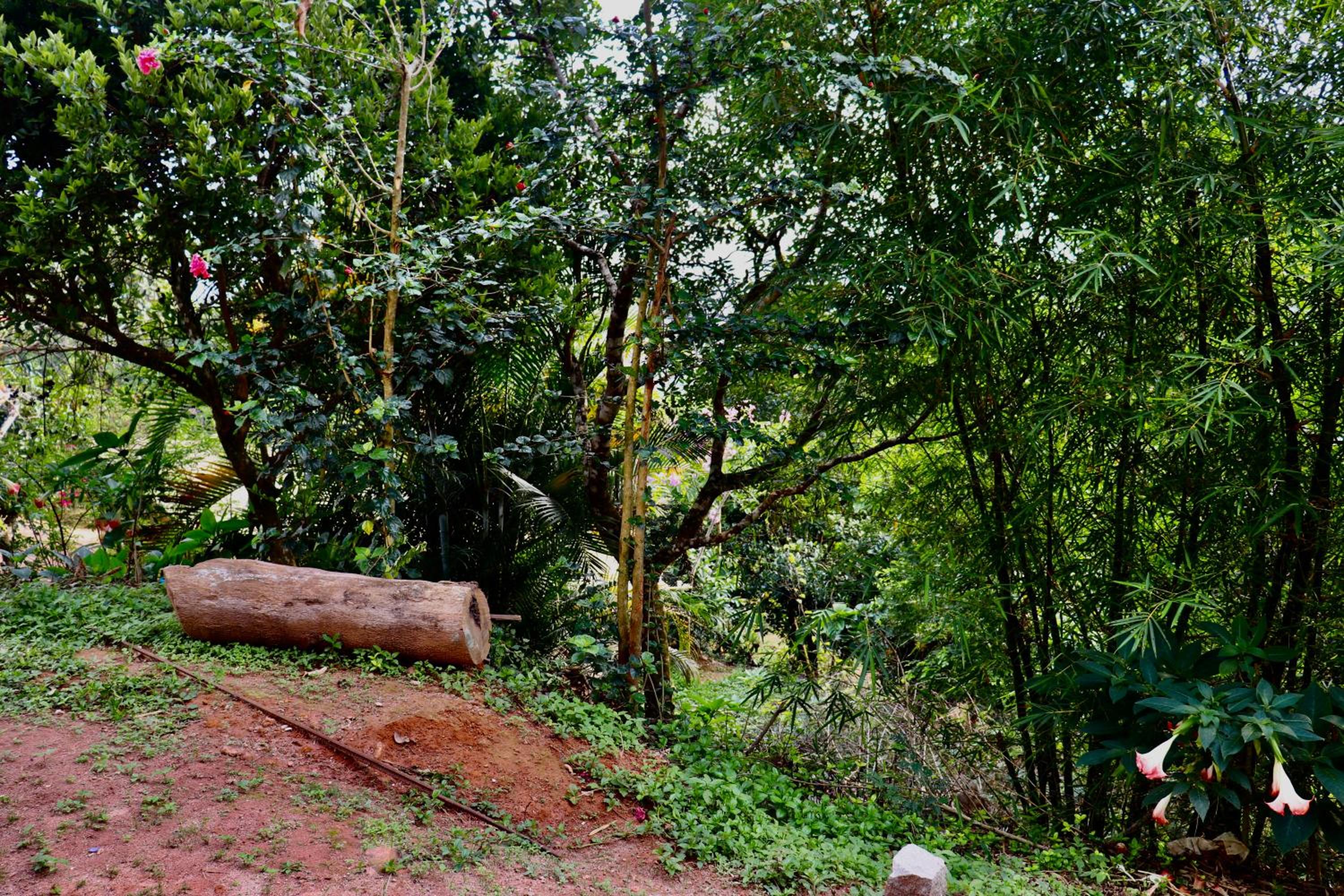 Coorg Nature Breeze home stay