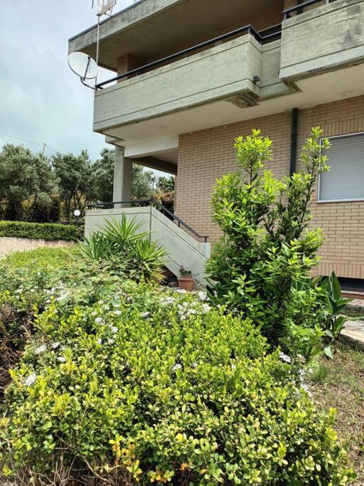 Villa Apogeo, entire house - Lamezia International Airport