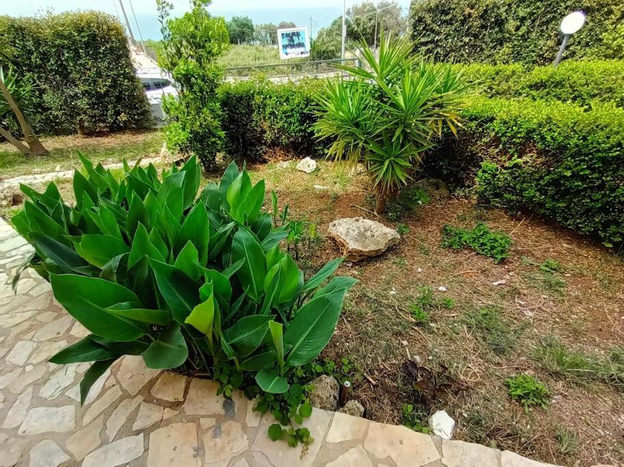 Villa Apogeo, entire house - Lamezia International Airport