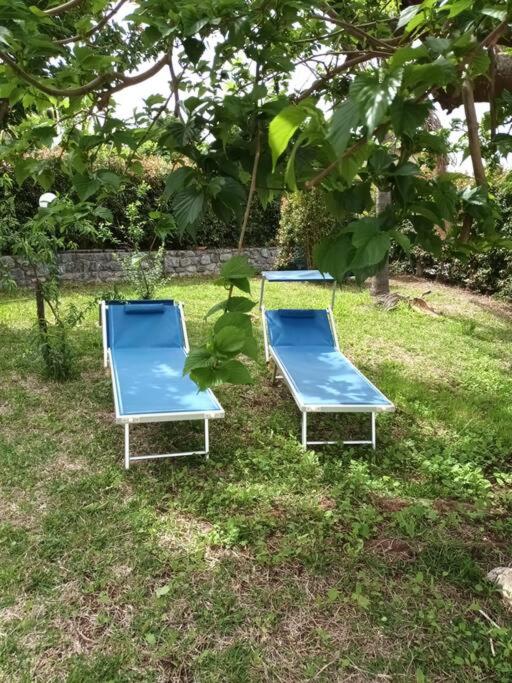 Villa Apogeo, entire house - Lamezia International Airport