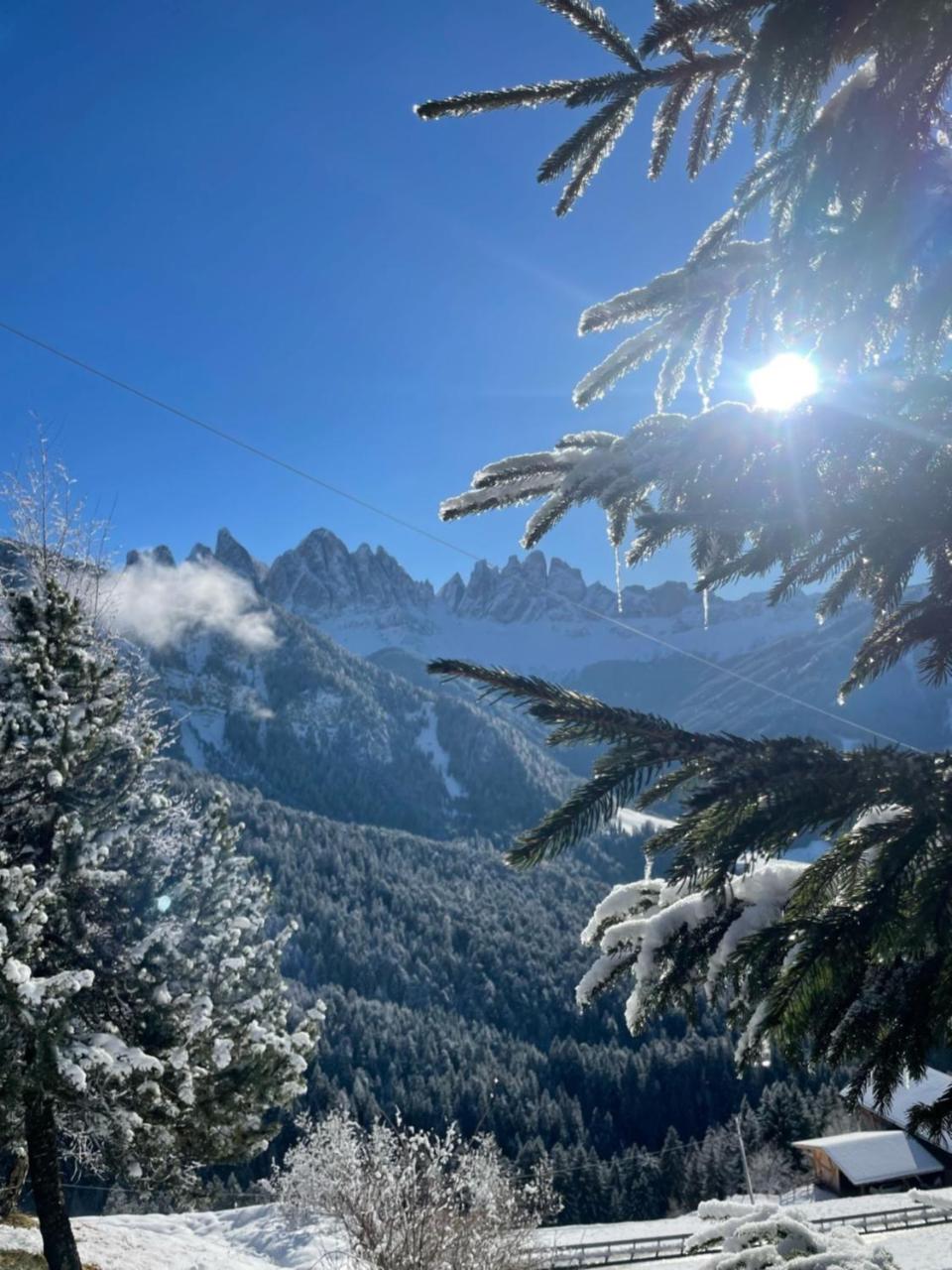 Schopplhof - panoramic apartments dolomites