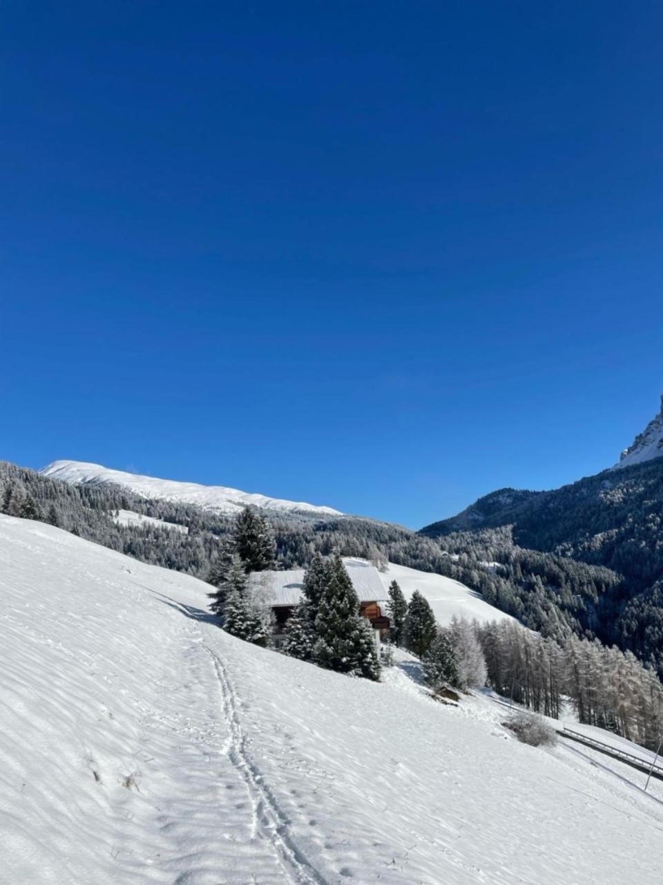 Schopplhof - panoramic apartments dolomites