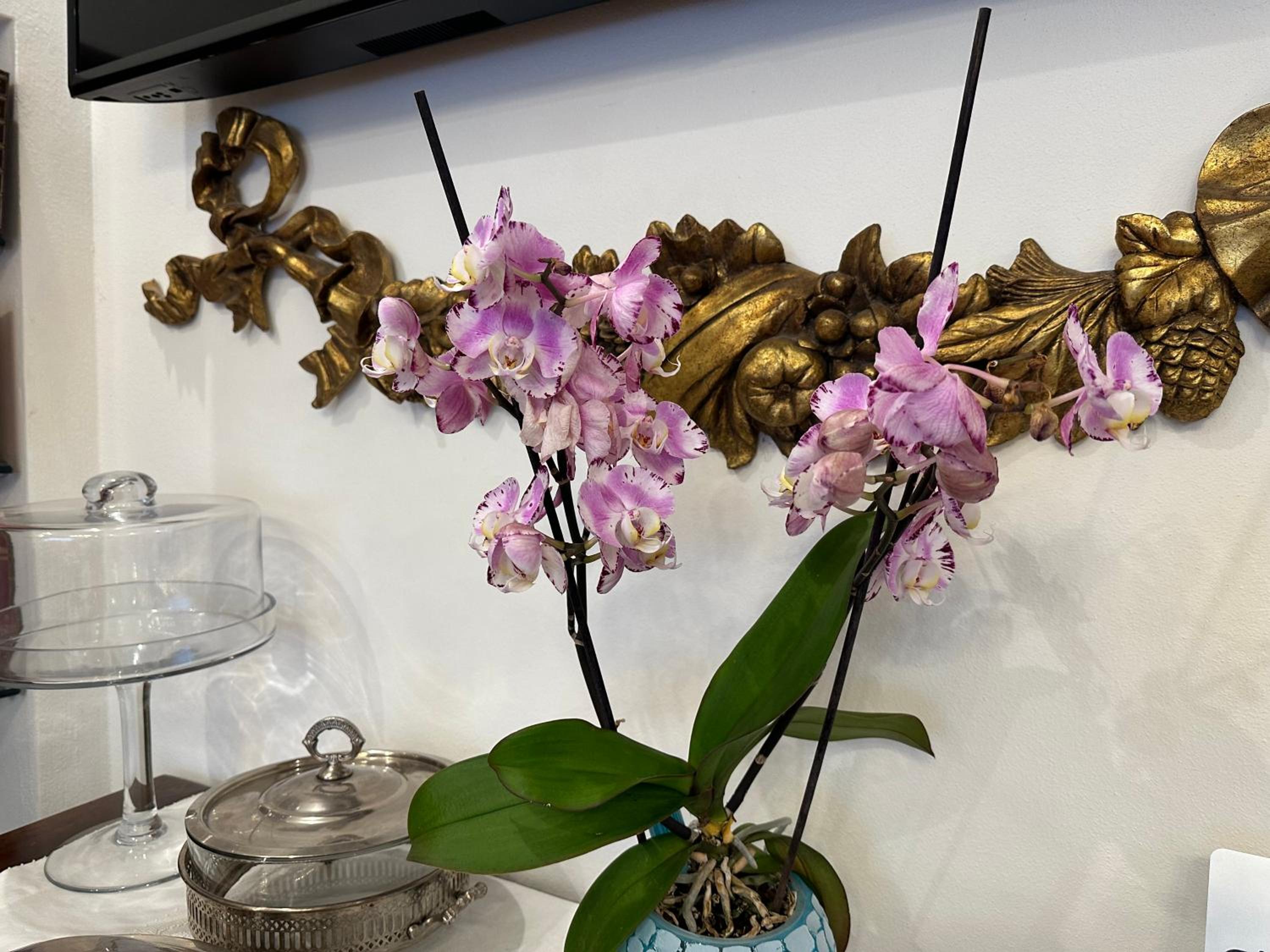Domus Socolatae Residenza d'Epoca Charming B&B - Adults Only