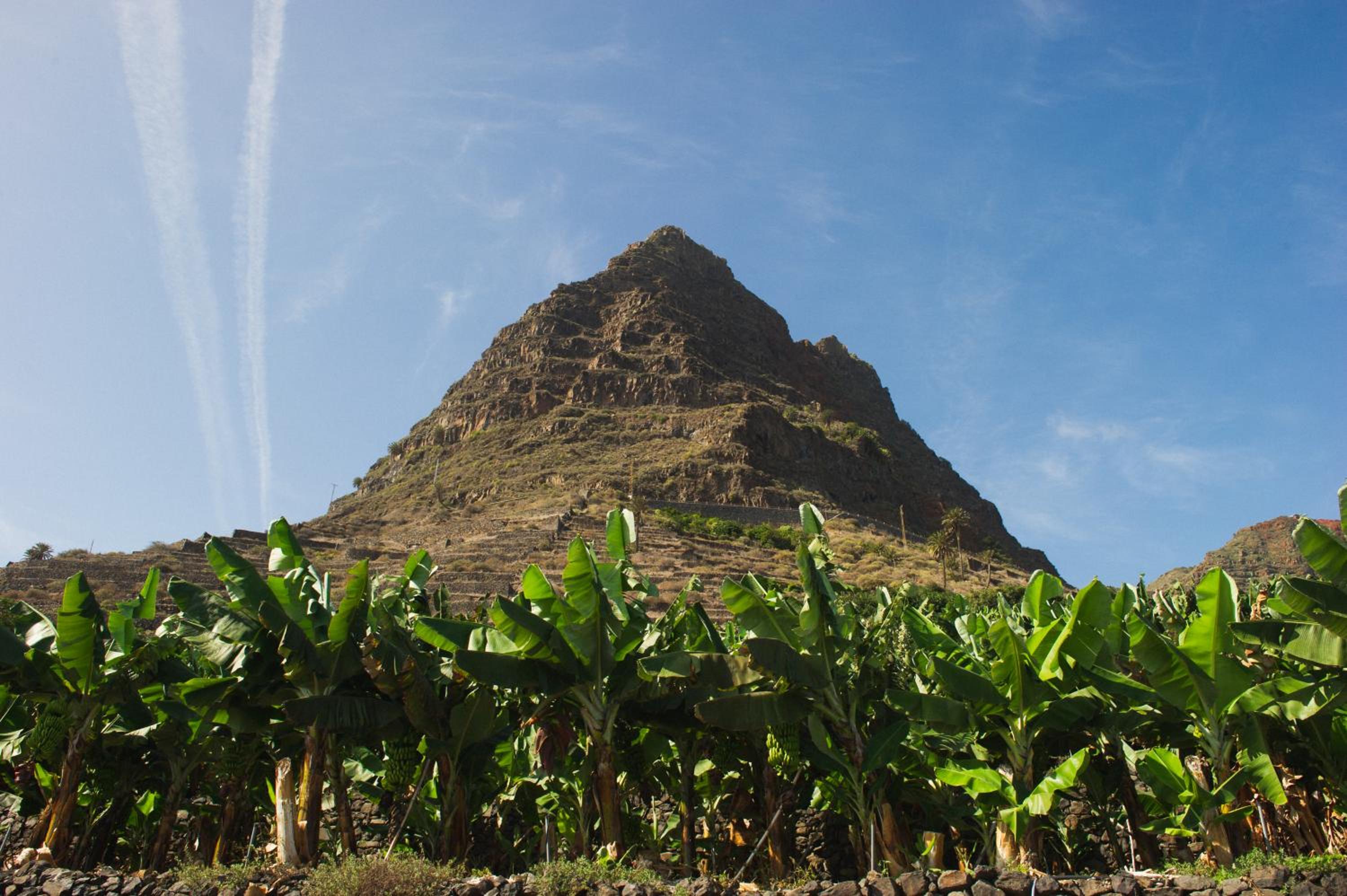 Eden Gomera Suites