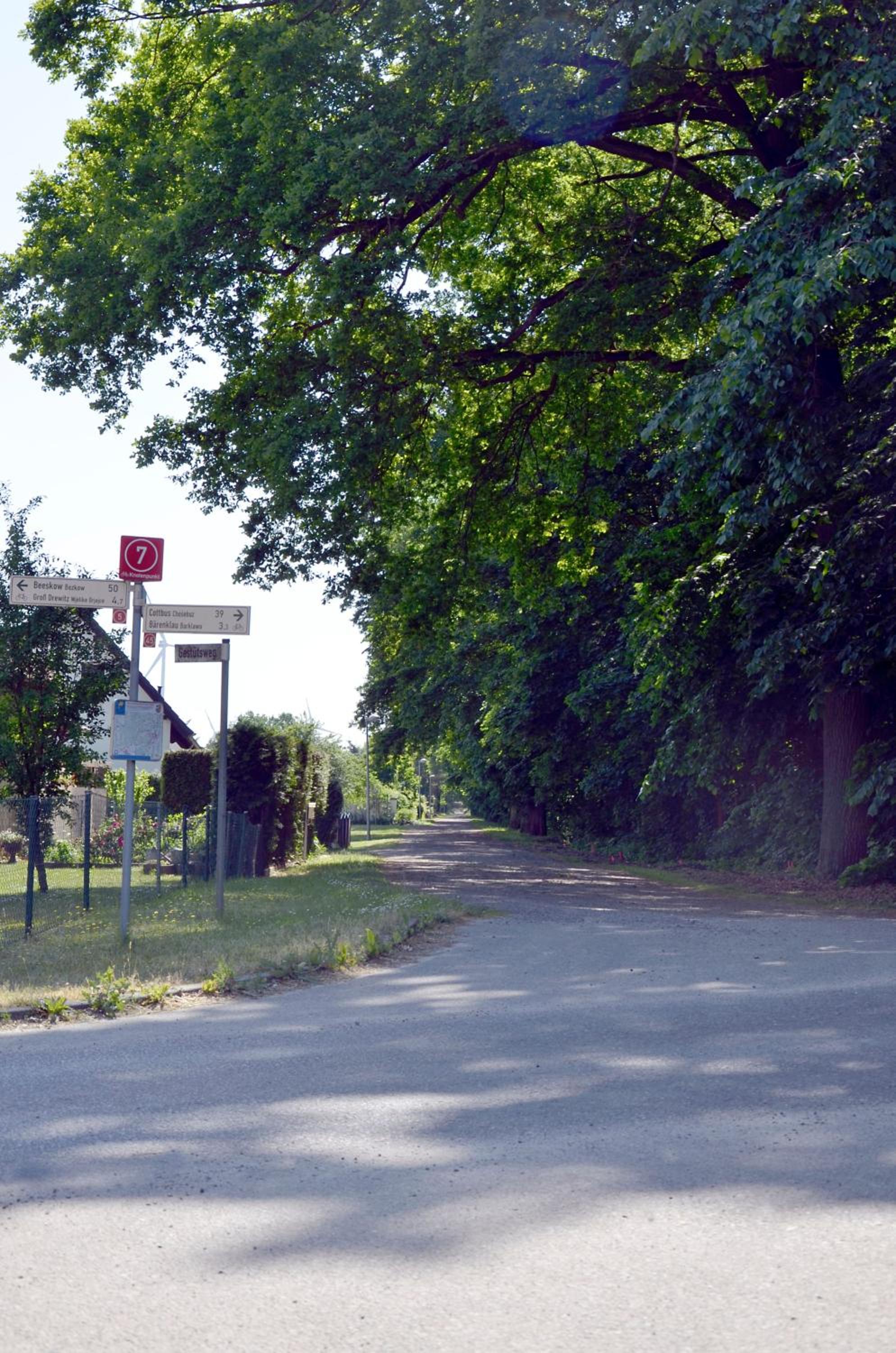 Ferienwohnung zum Bären
