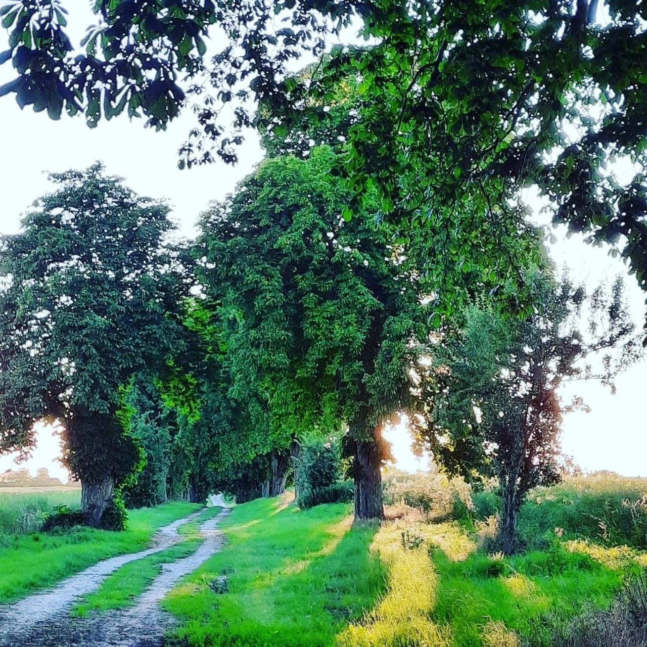 Ferien_VILLA SANSIBAR