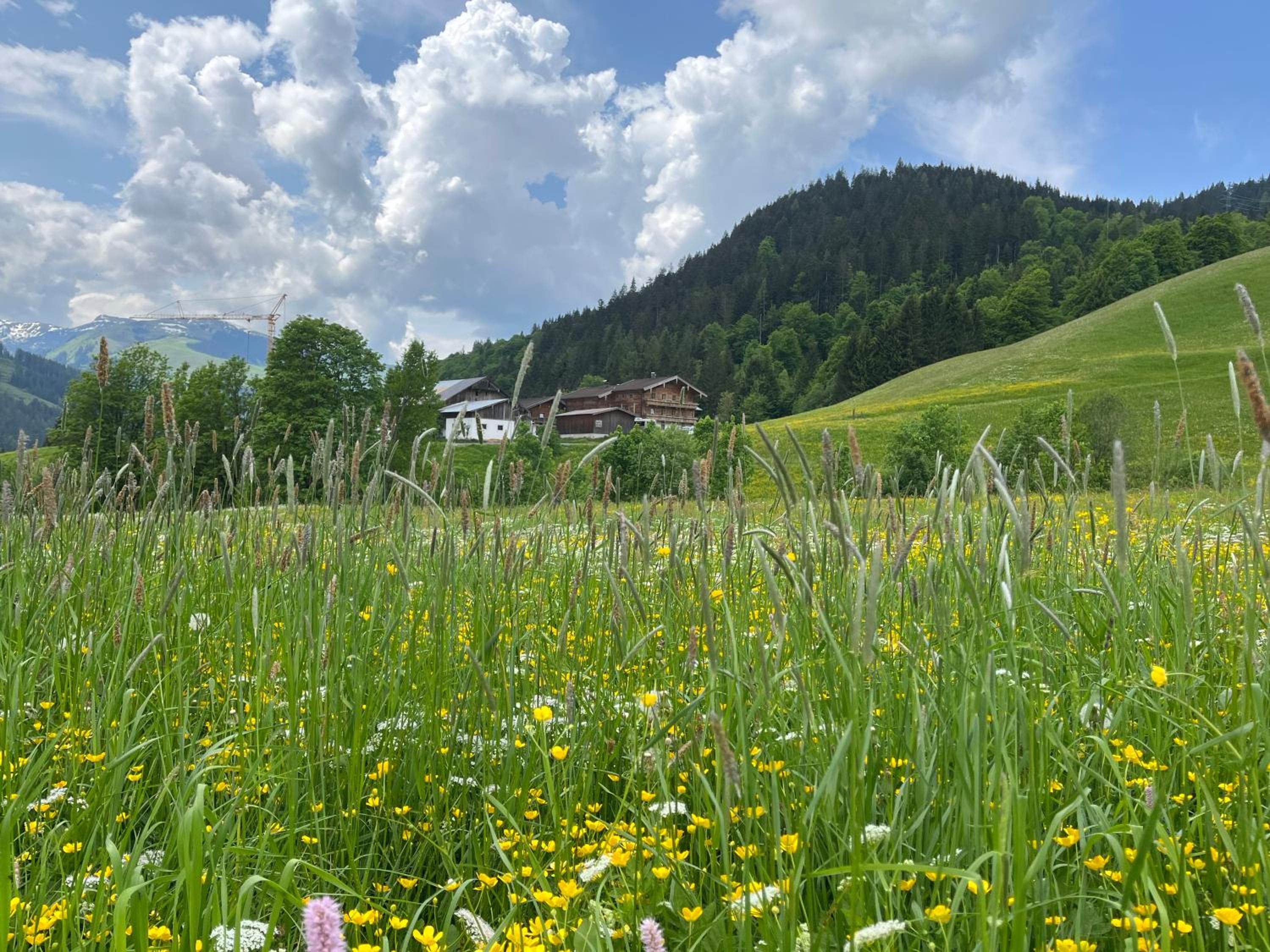 Appartement zur schlafenden Jungfrau view 5