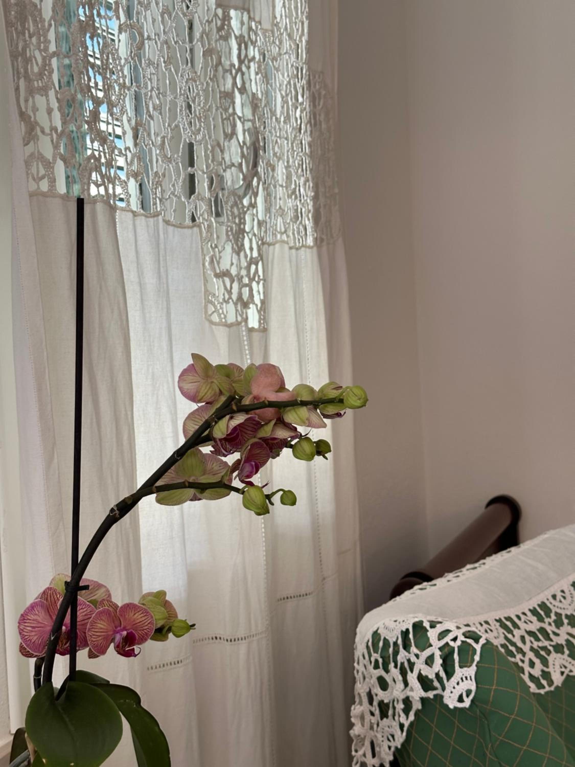 Domus Socolatae Residenza d'Epoca Charming B&B - Adults Only