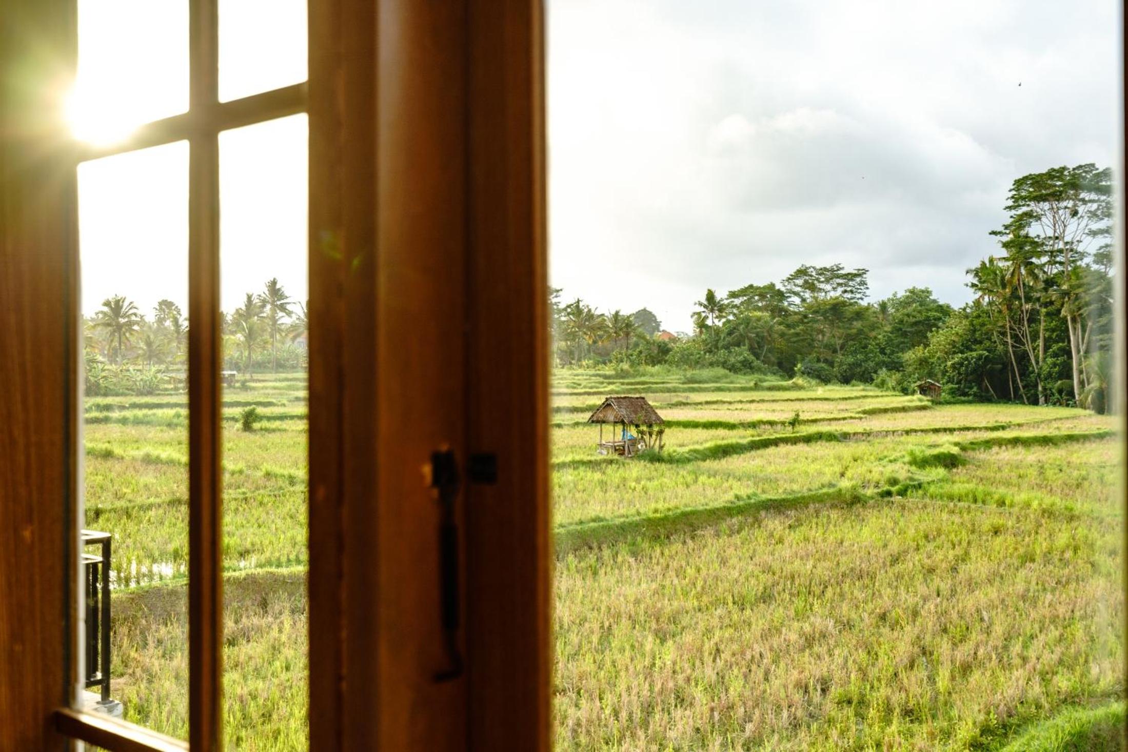 Photo 35