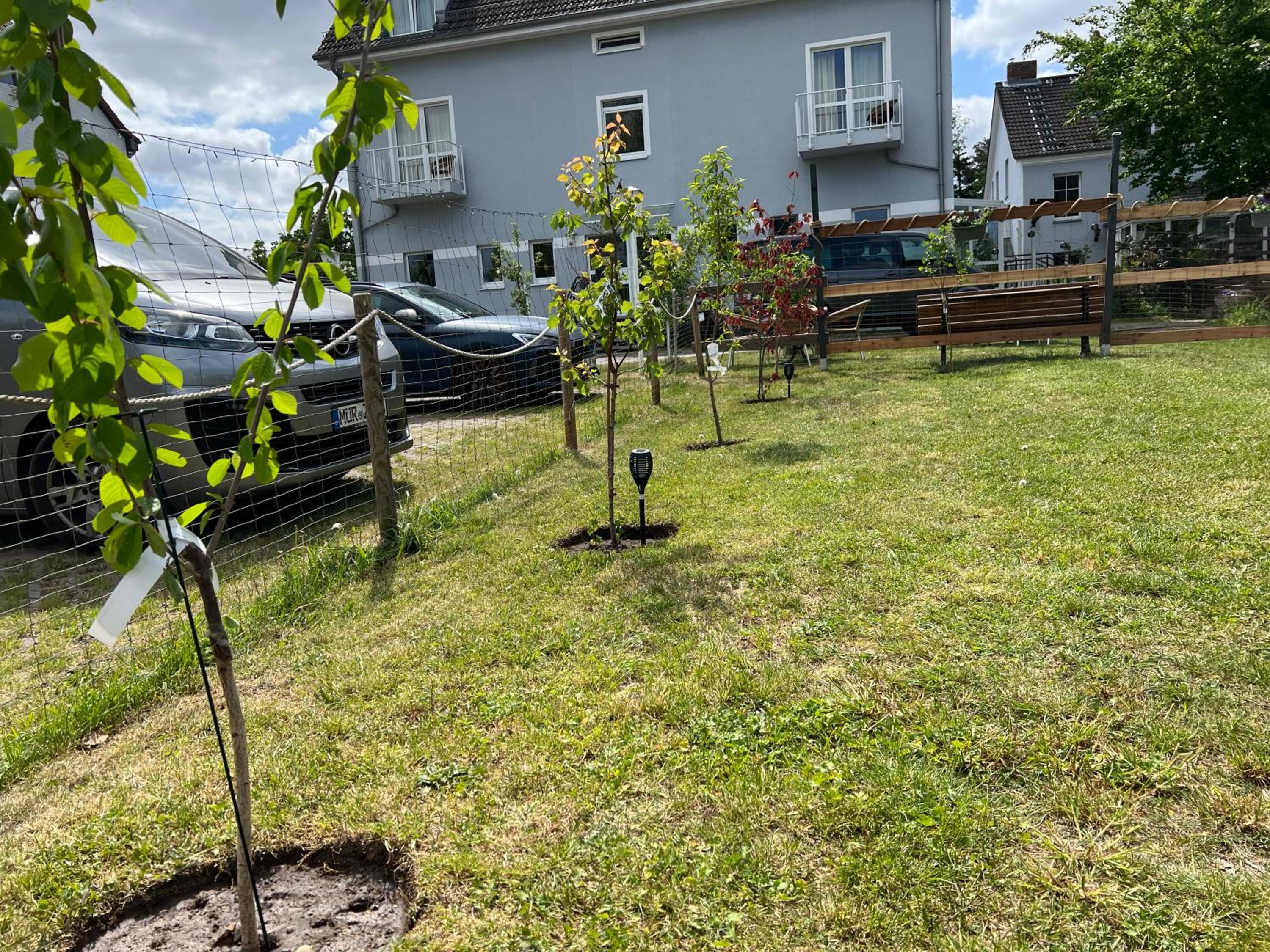 Photo 36
