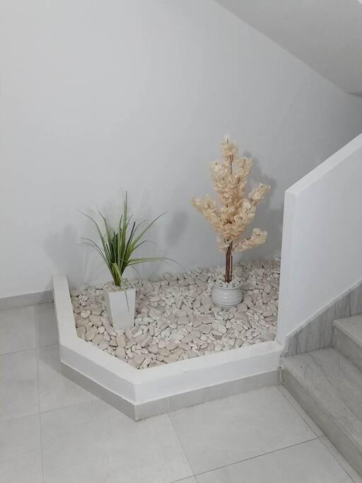 Ezzahra Beach Luxury Apartment