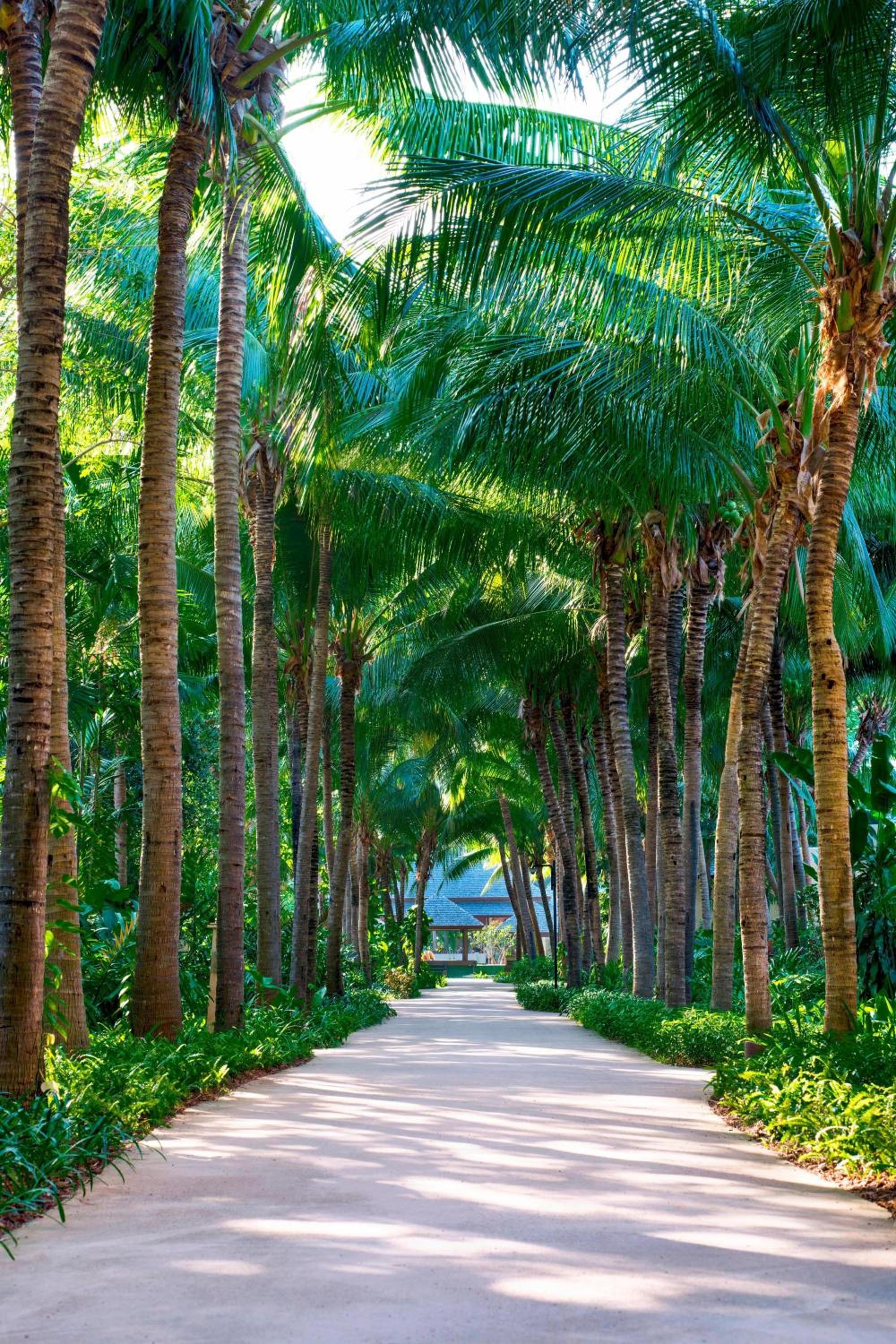 Sheraton Hua Hin Pranburi Villas