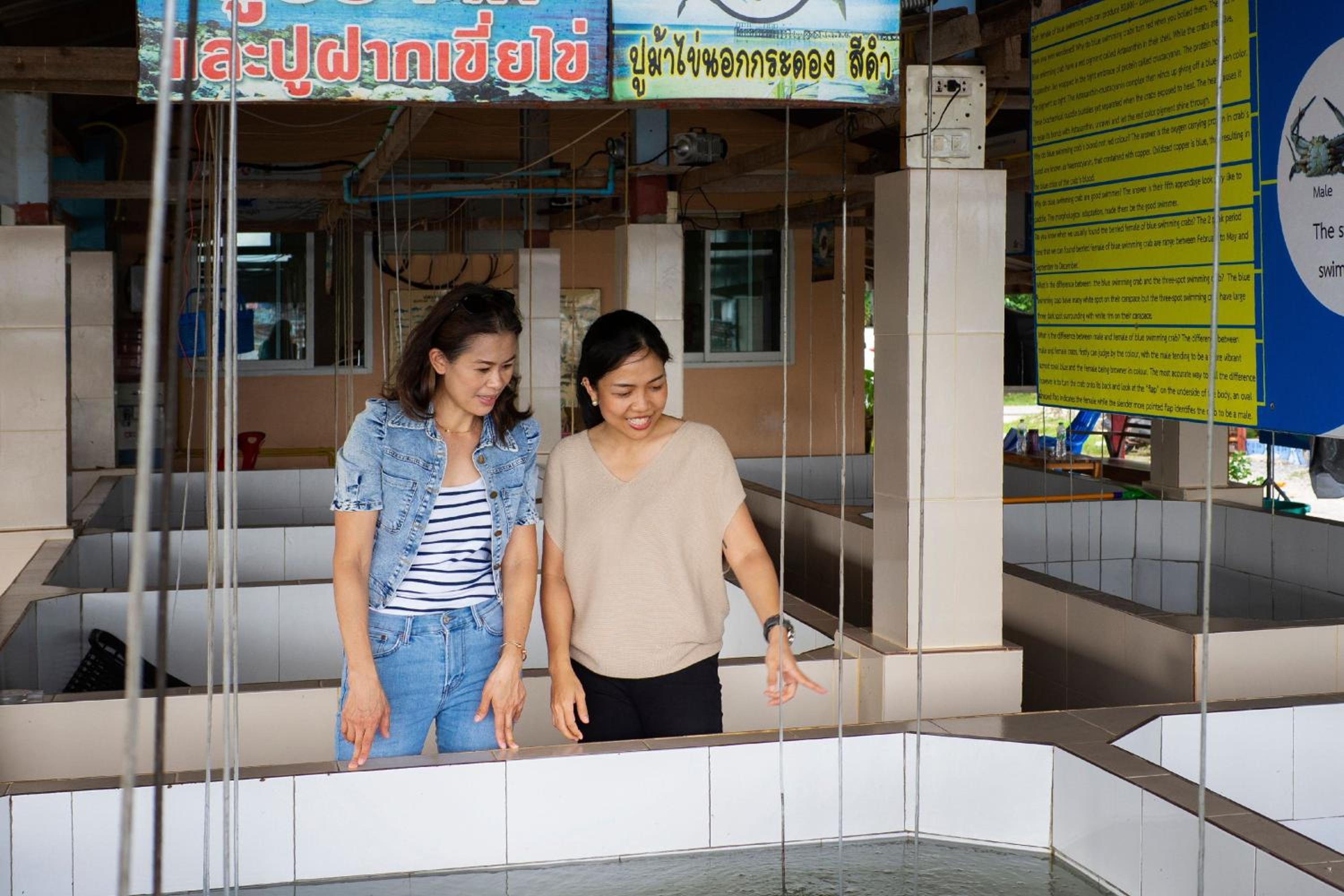 Sheraton Hua Hin Pranburi Villas