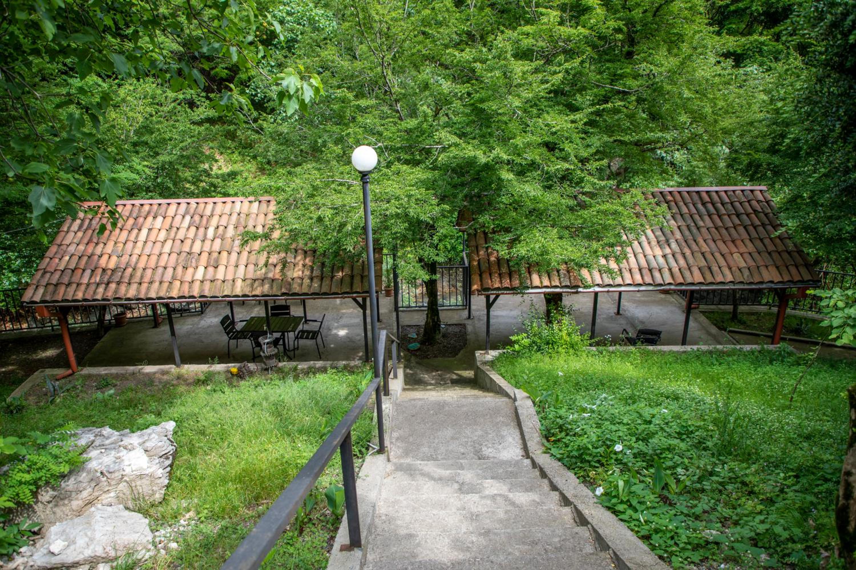 Dzeruli