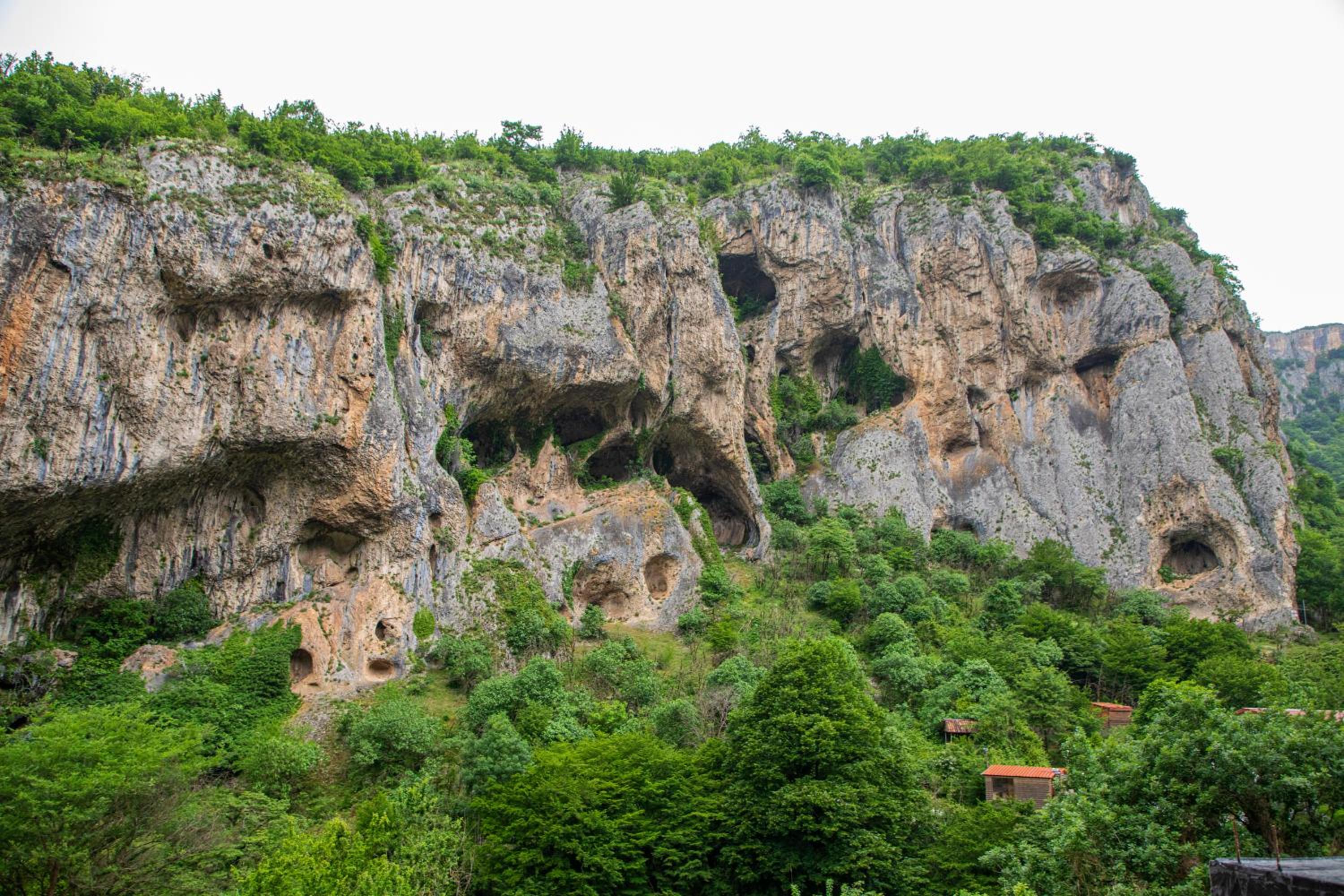 Dzeruli