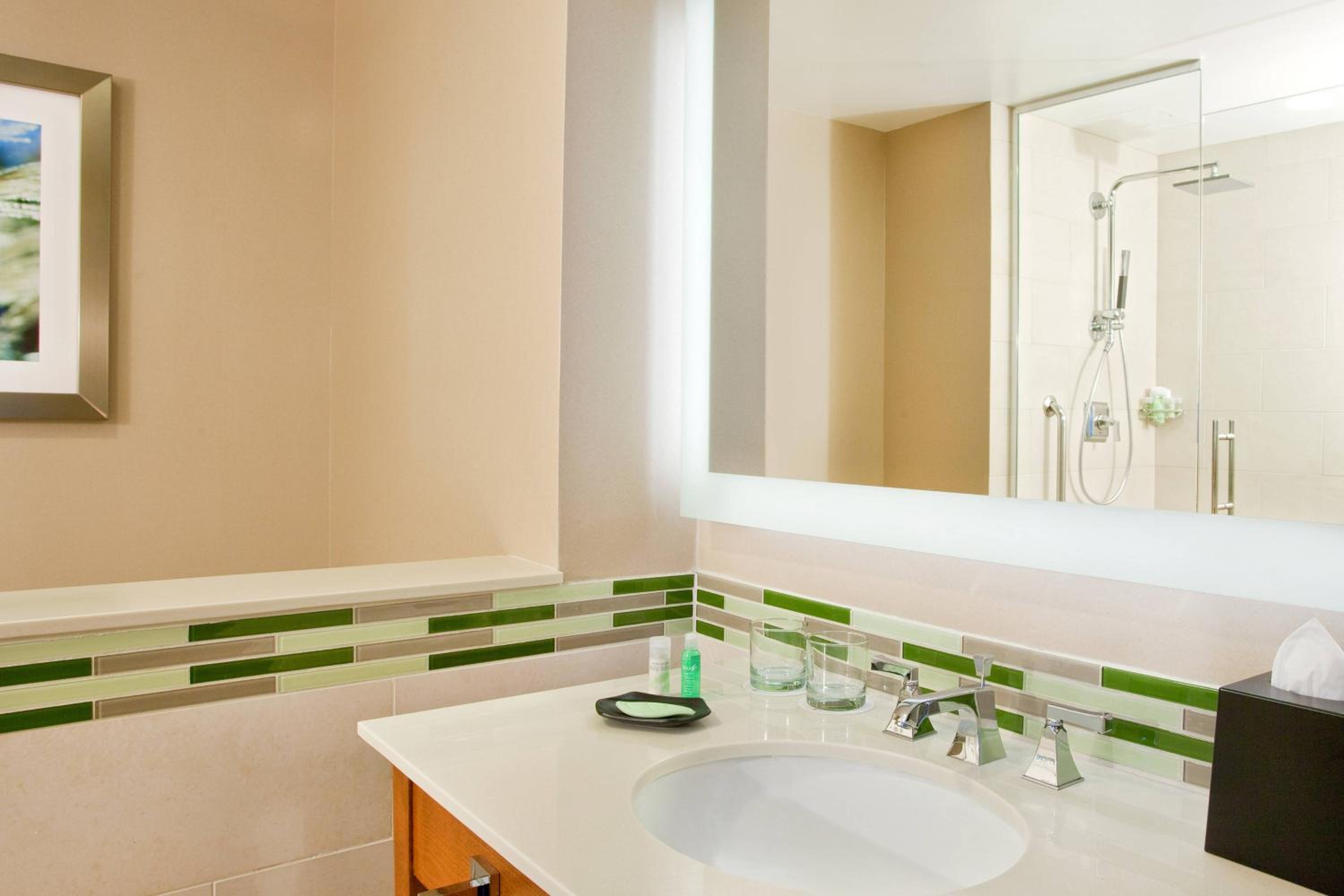 The Westin Washington Dulles Airport - Property Image 15