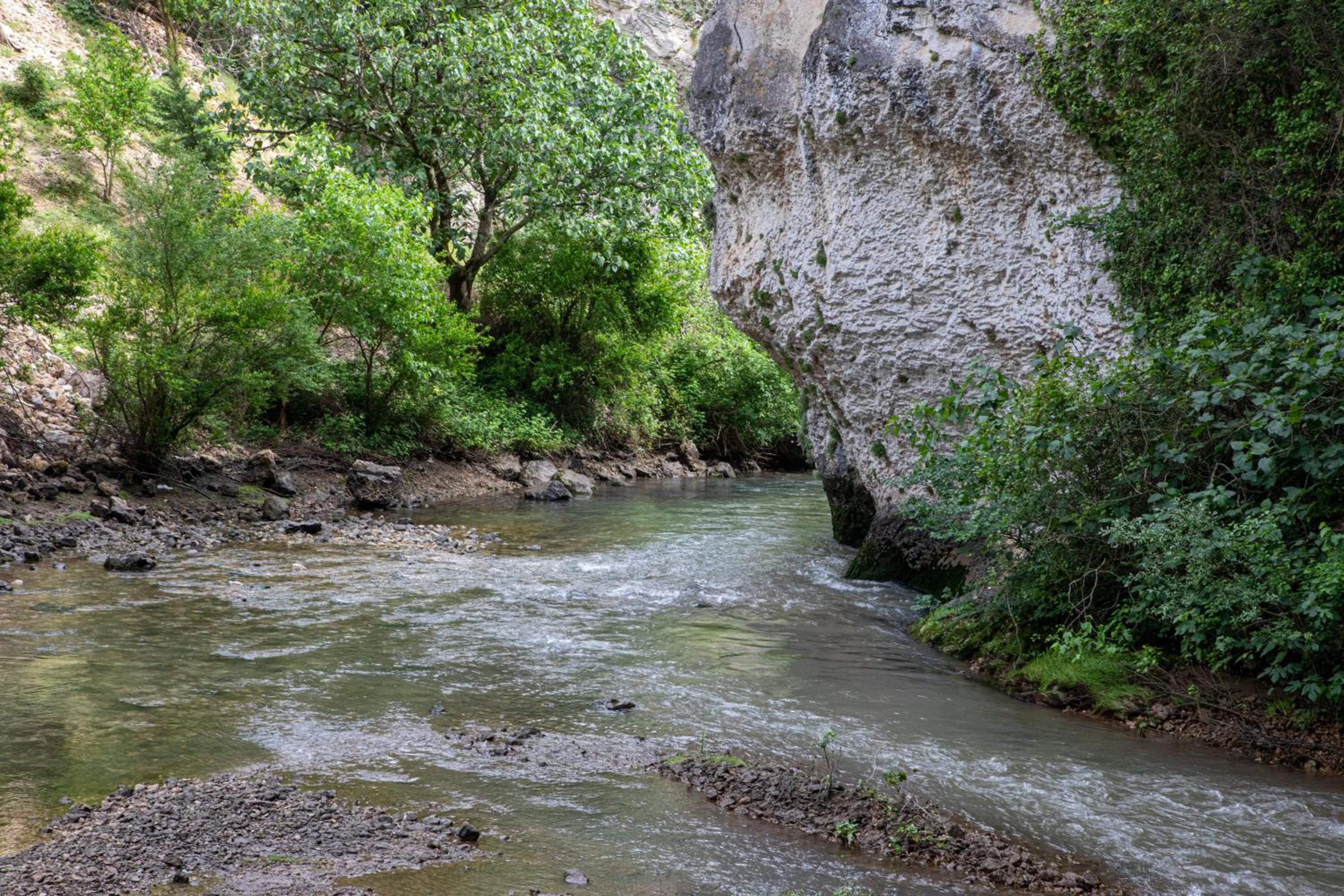 Dzeruli
