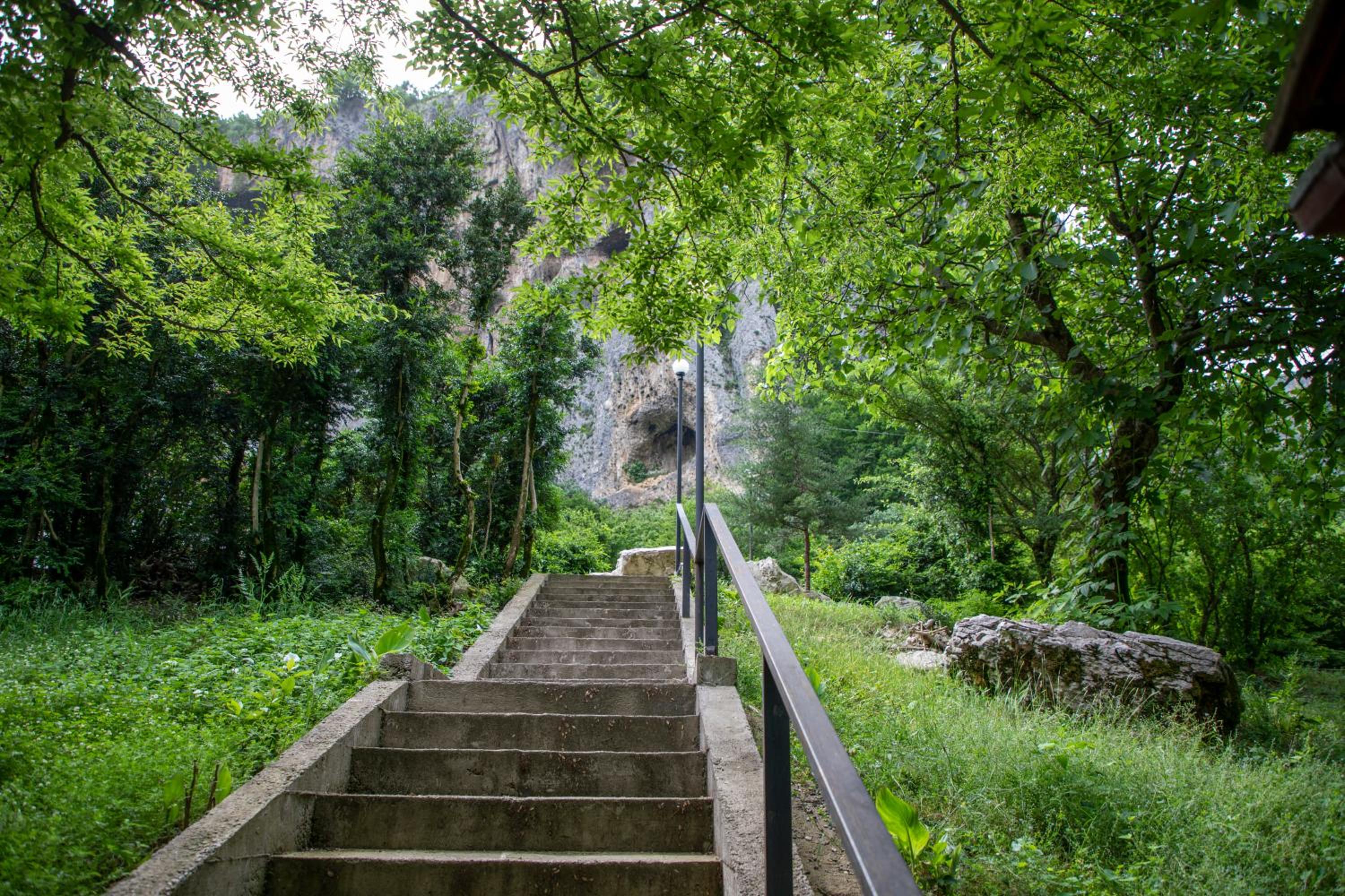 Dzeruli