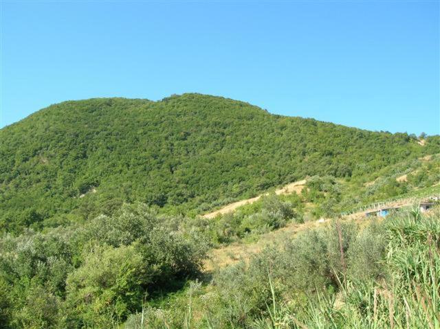 Casa della Ventricina