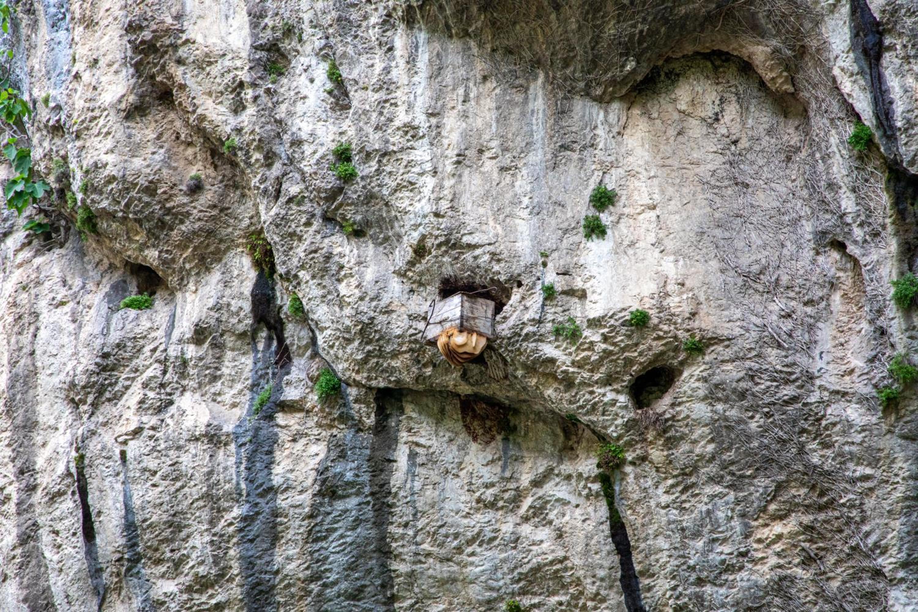 Dzeruli