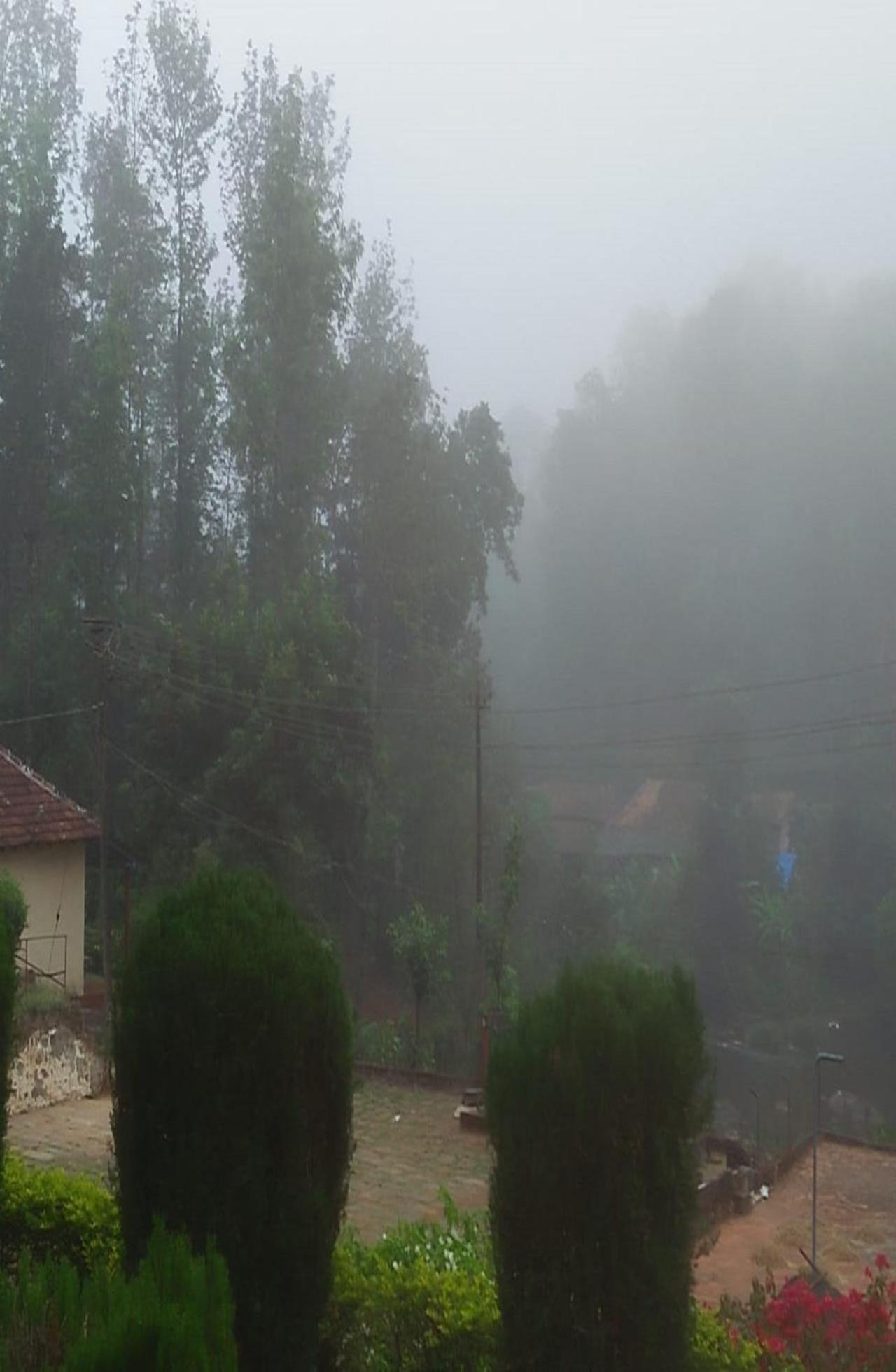 Coorg River Valley Homestay by StayApart view 2