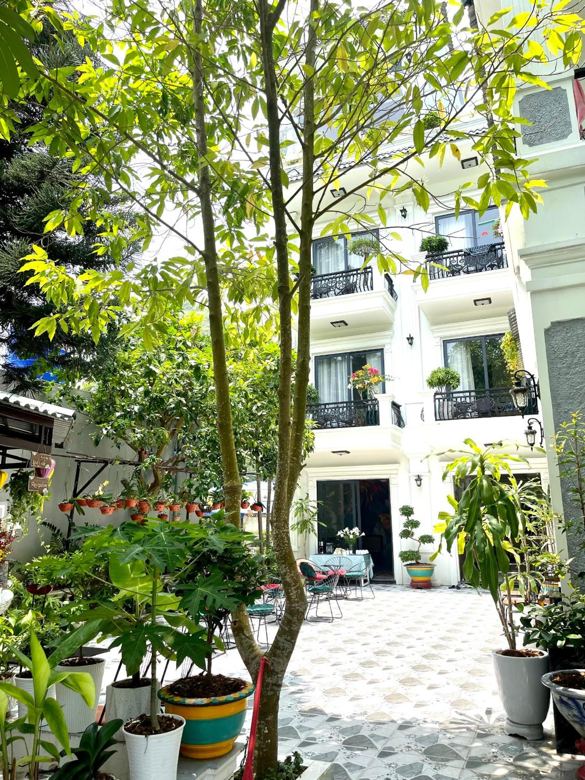 Lynh's Villa