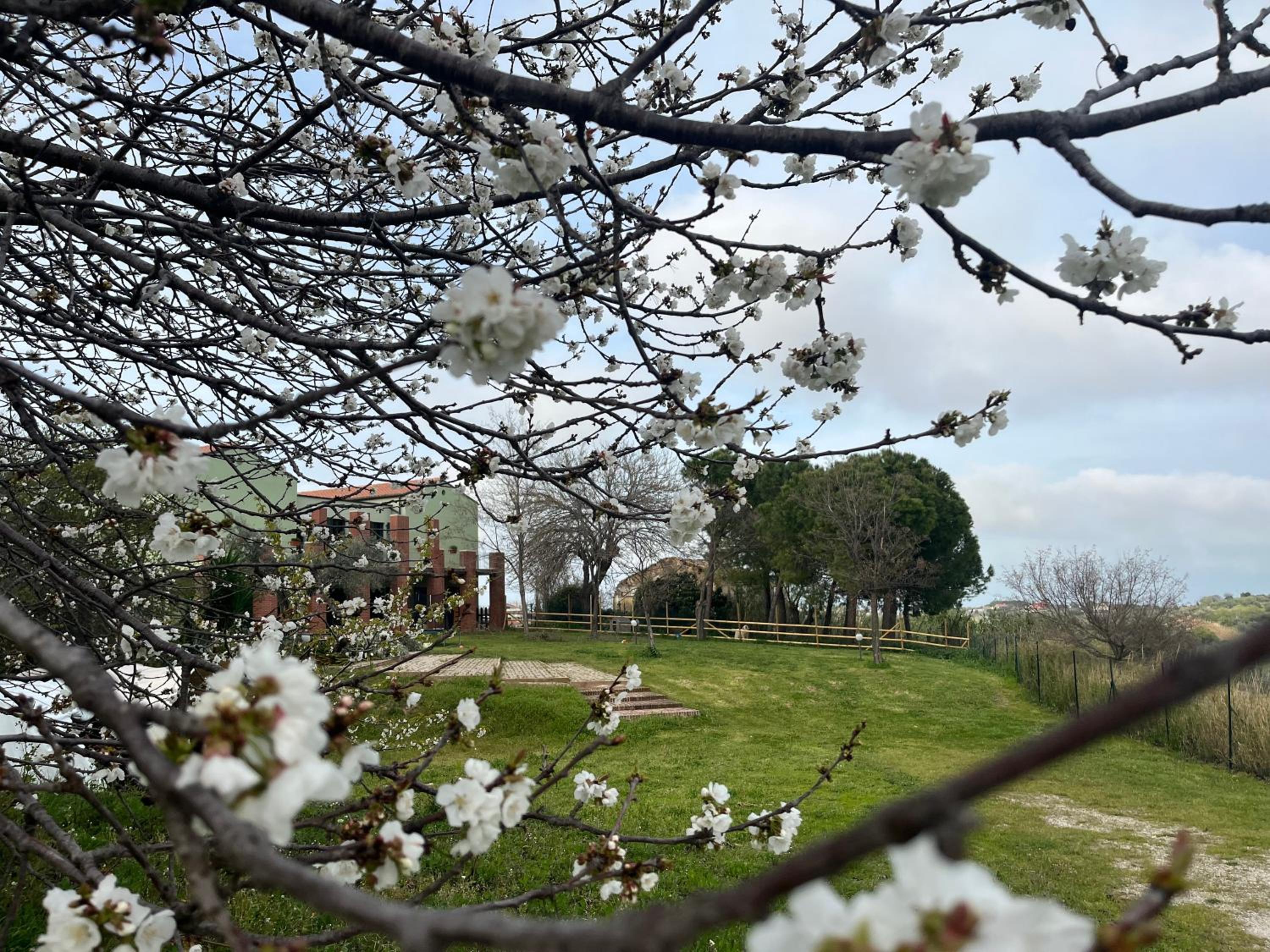 VALLELY la collina sul mare B&B d'Abruzzo view 5