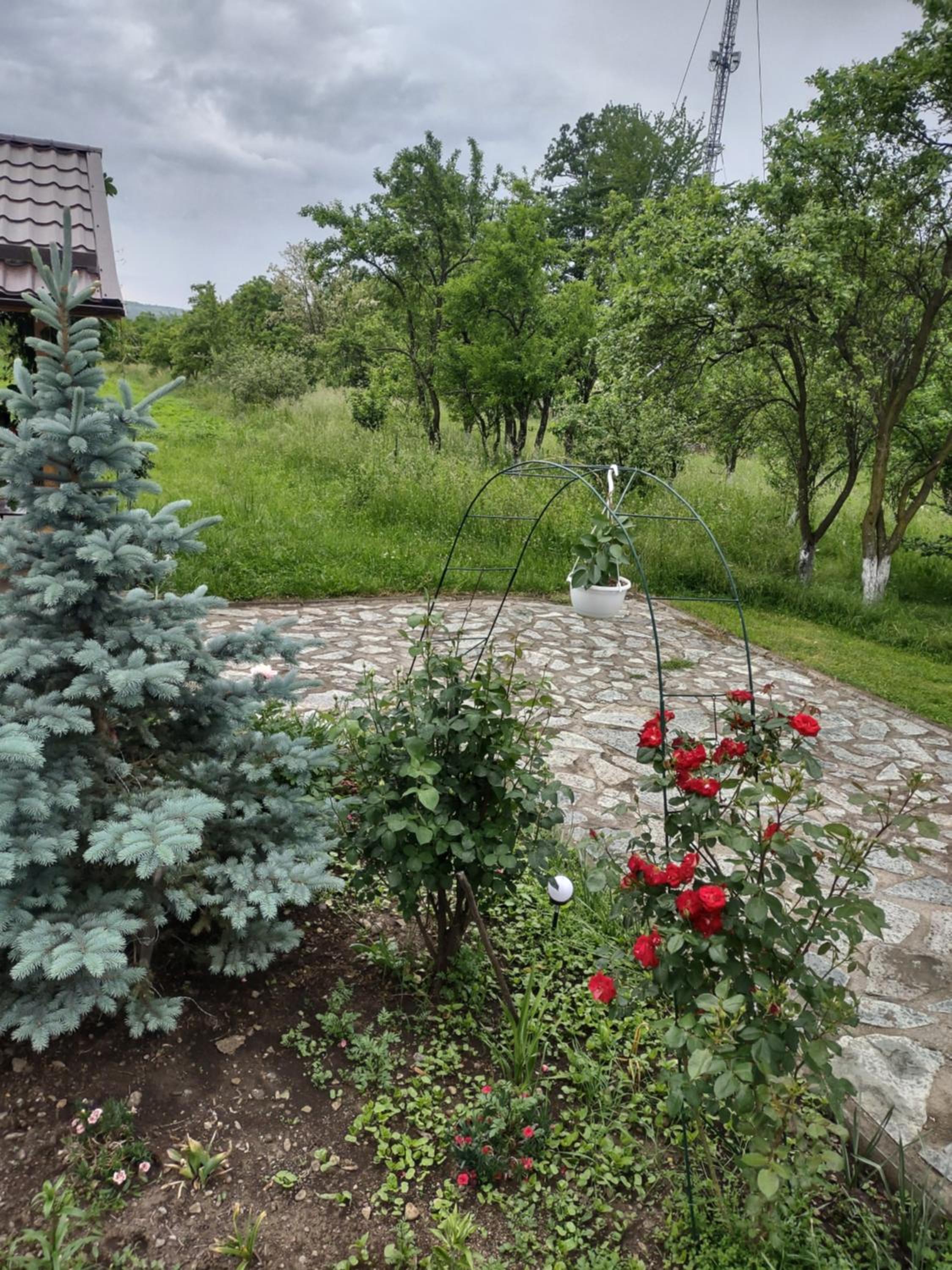Photo 16