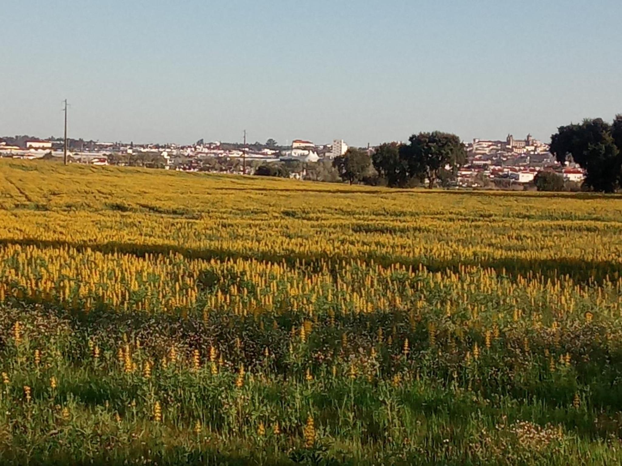 Monte Da Serralheira Agro Turismo